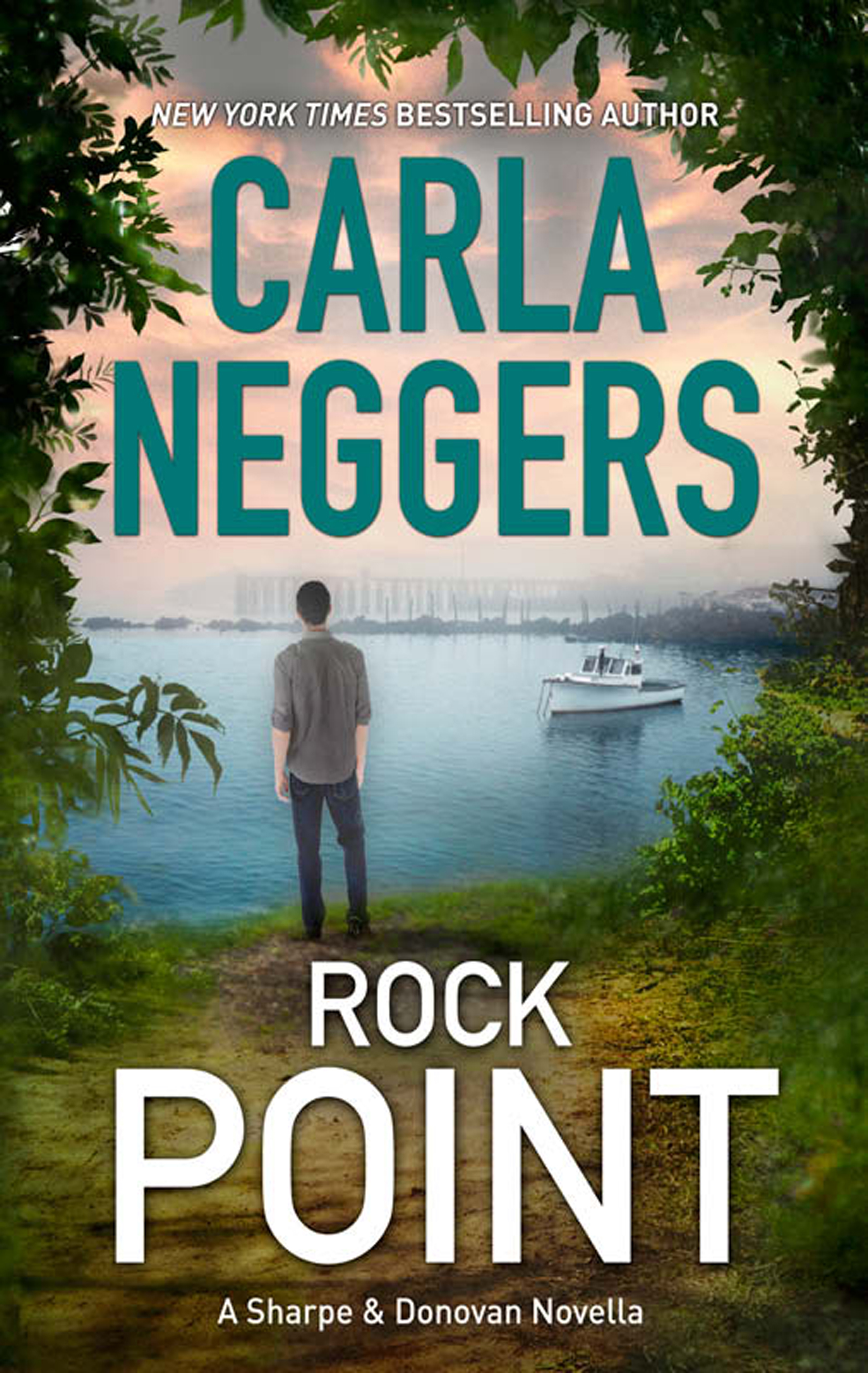 Обложка книги «Rock Point»