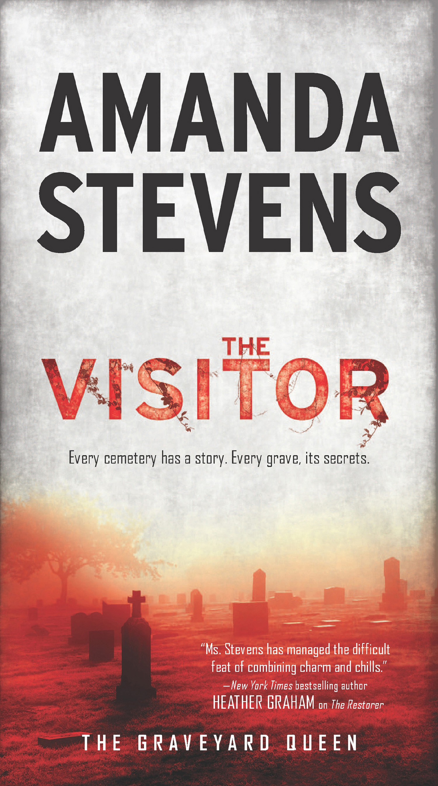Обложка книги «The Visitor»