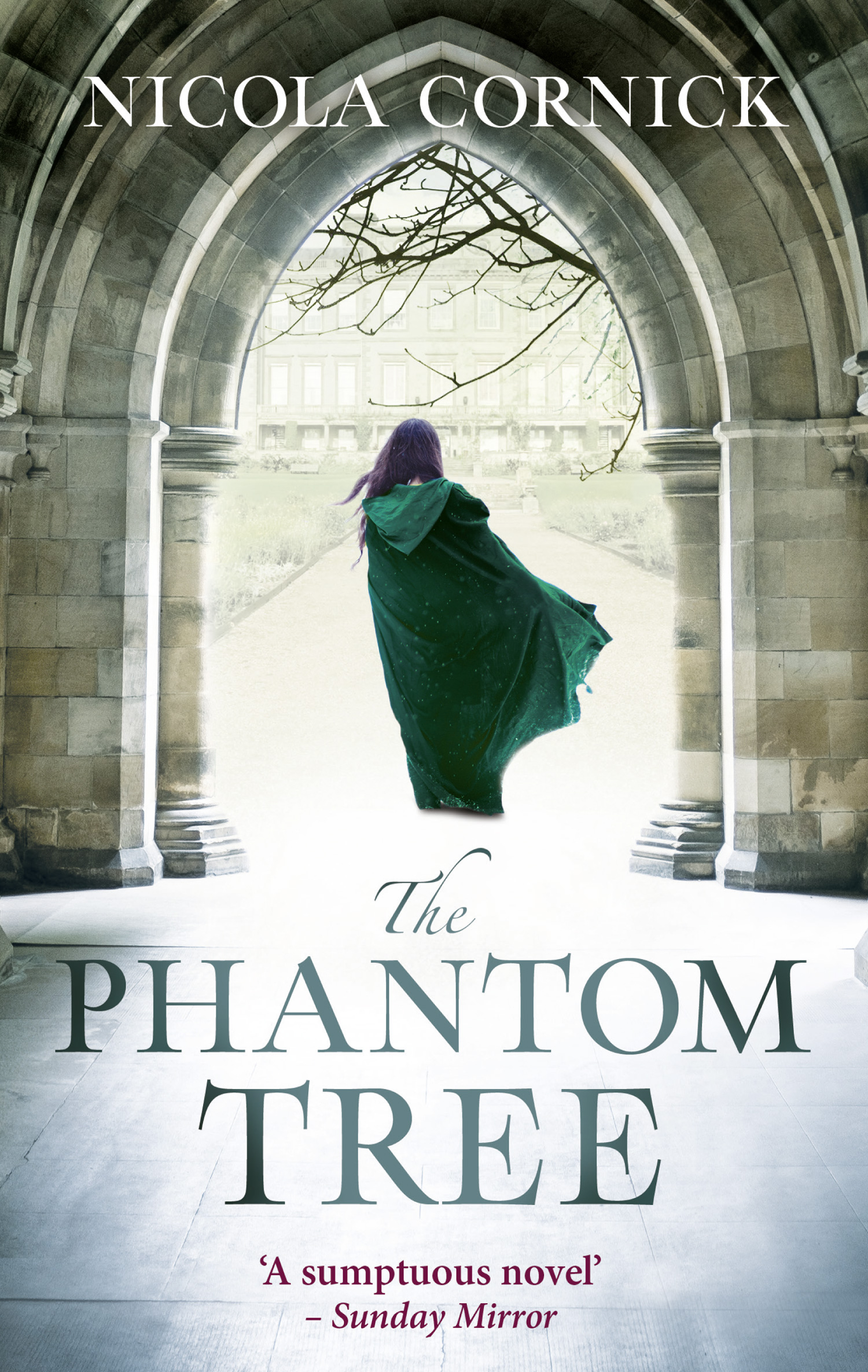 Обложка книги «The Phantom Tree»