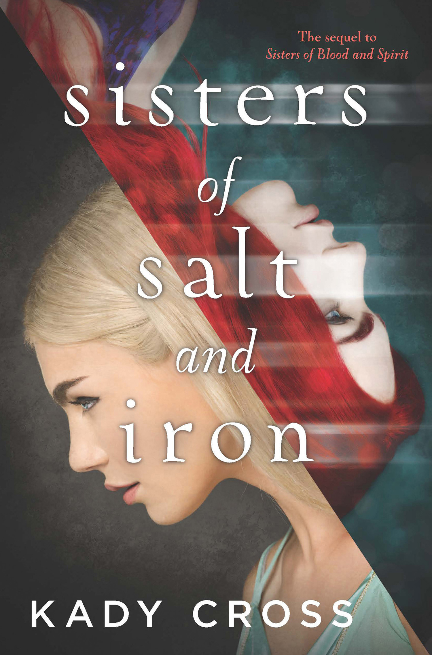 Обложка книги «Sisters Of Salt And Iron»