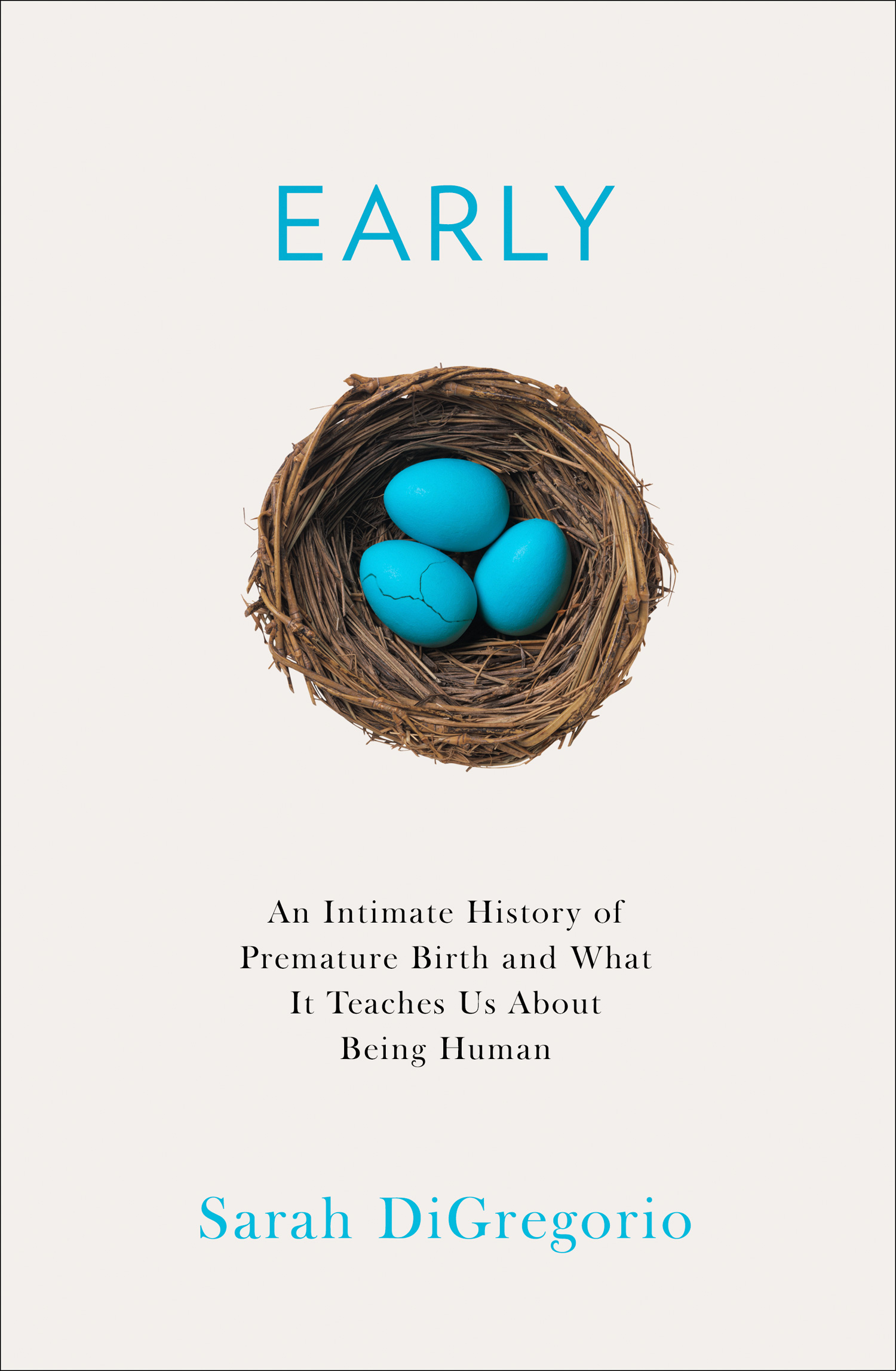 Обложка книги «An Intimate History of Premature Birth»