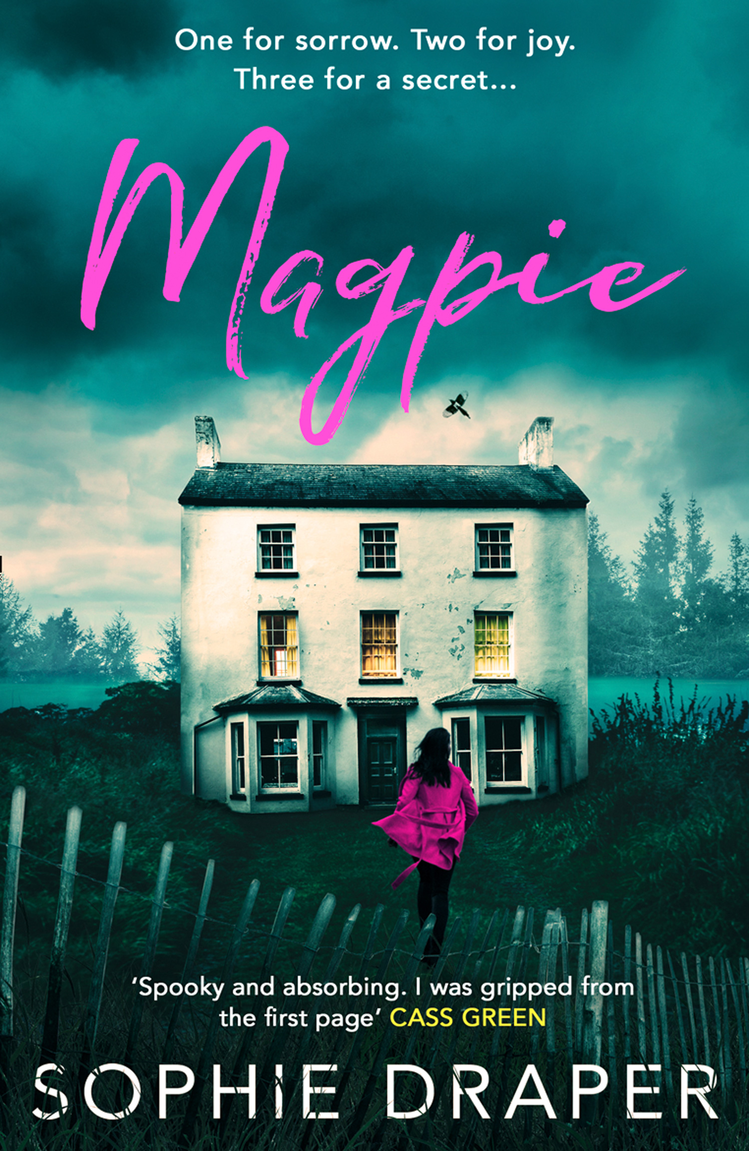Обложка книги «Magpie»