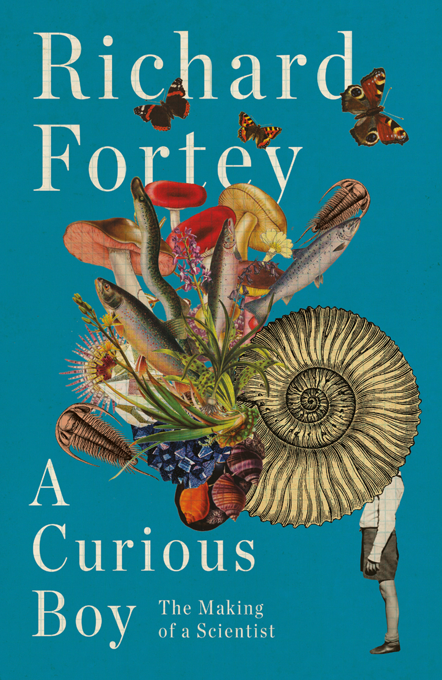 Обложка книги «A Curious Boy»