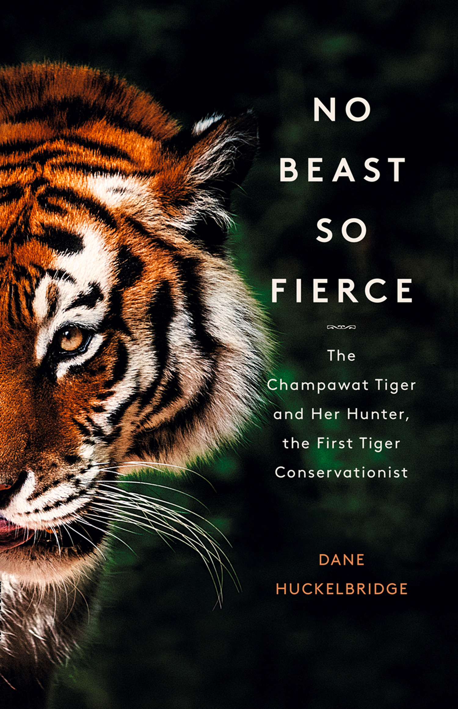 Обложка книги «No Beast So Fierce»