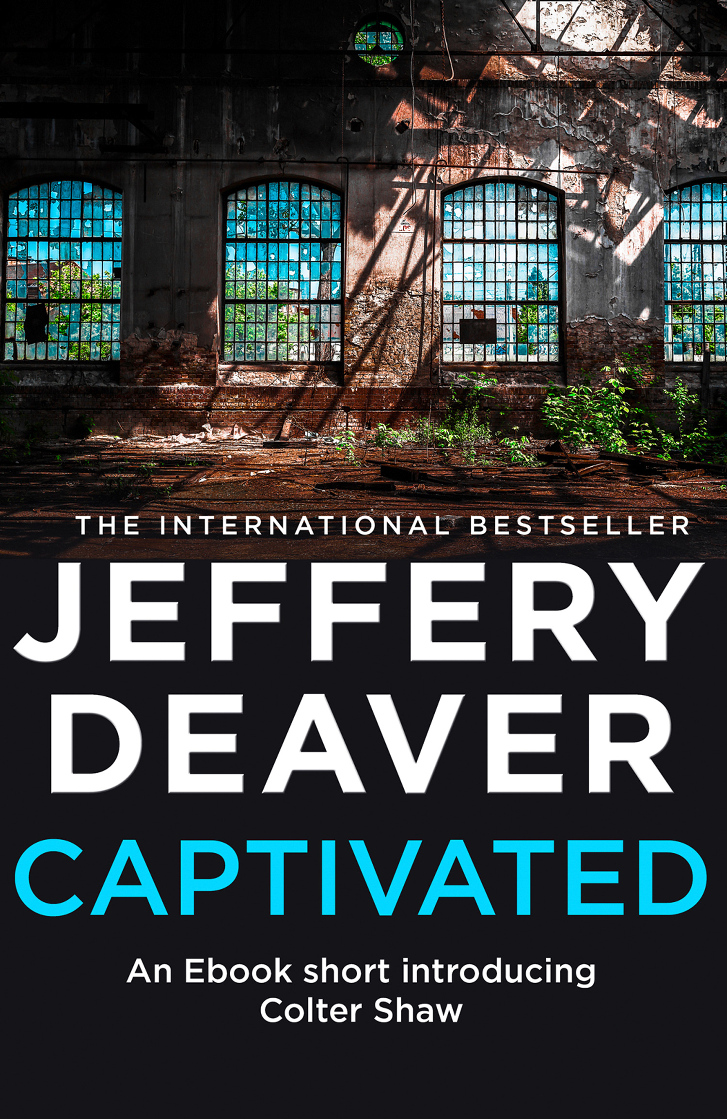 Обложка книги «Captivated»