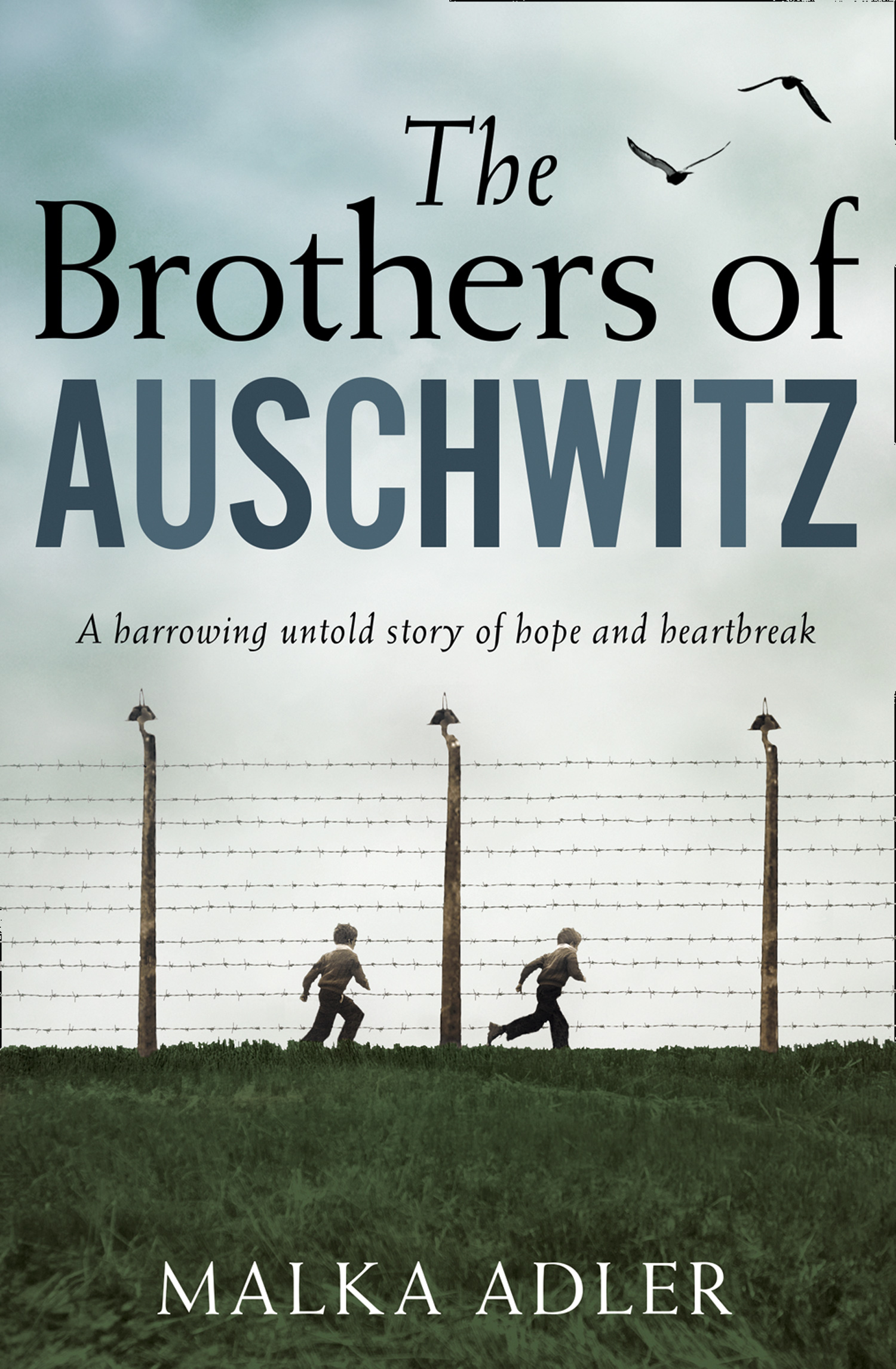 Обложка книги «The Brothers of Auschwitz»
