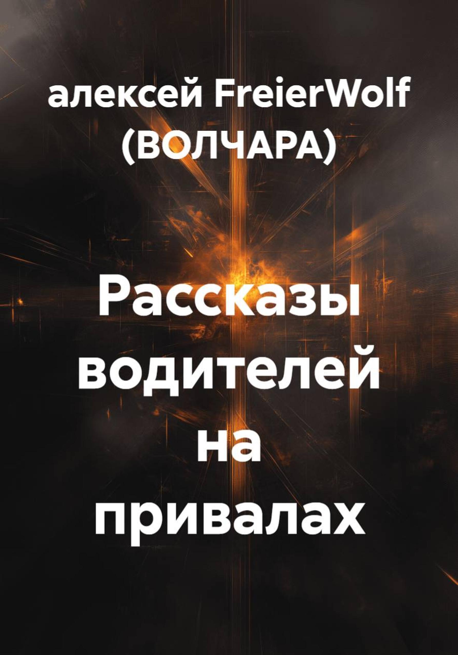 Обложка книги «Рассказы водителей на привалах»