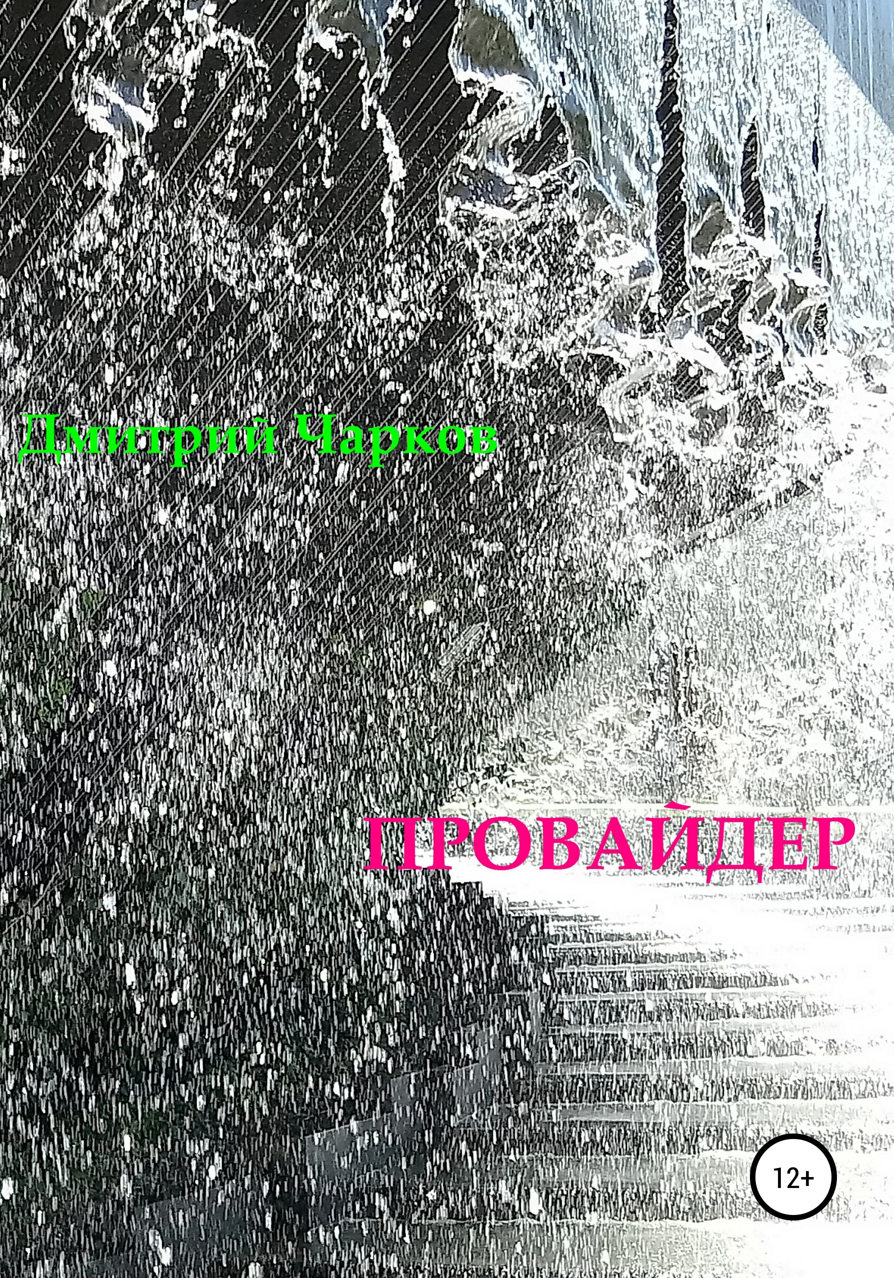Обложка книги «Провайдер»