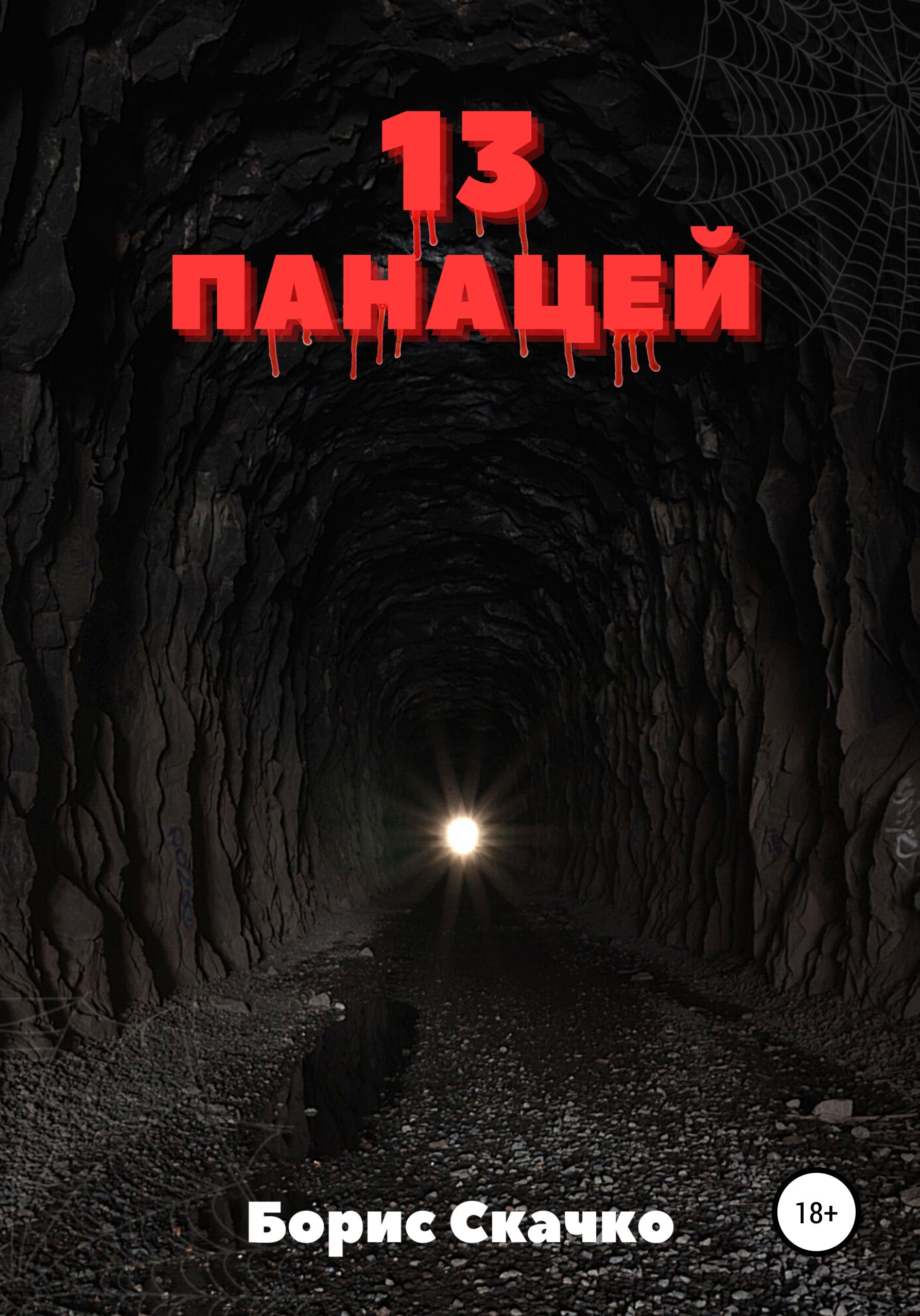 Обложка книги «13 панацей»