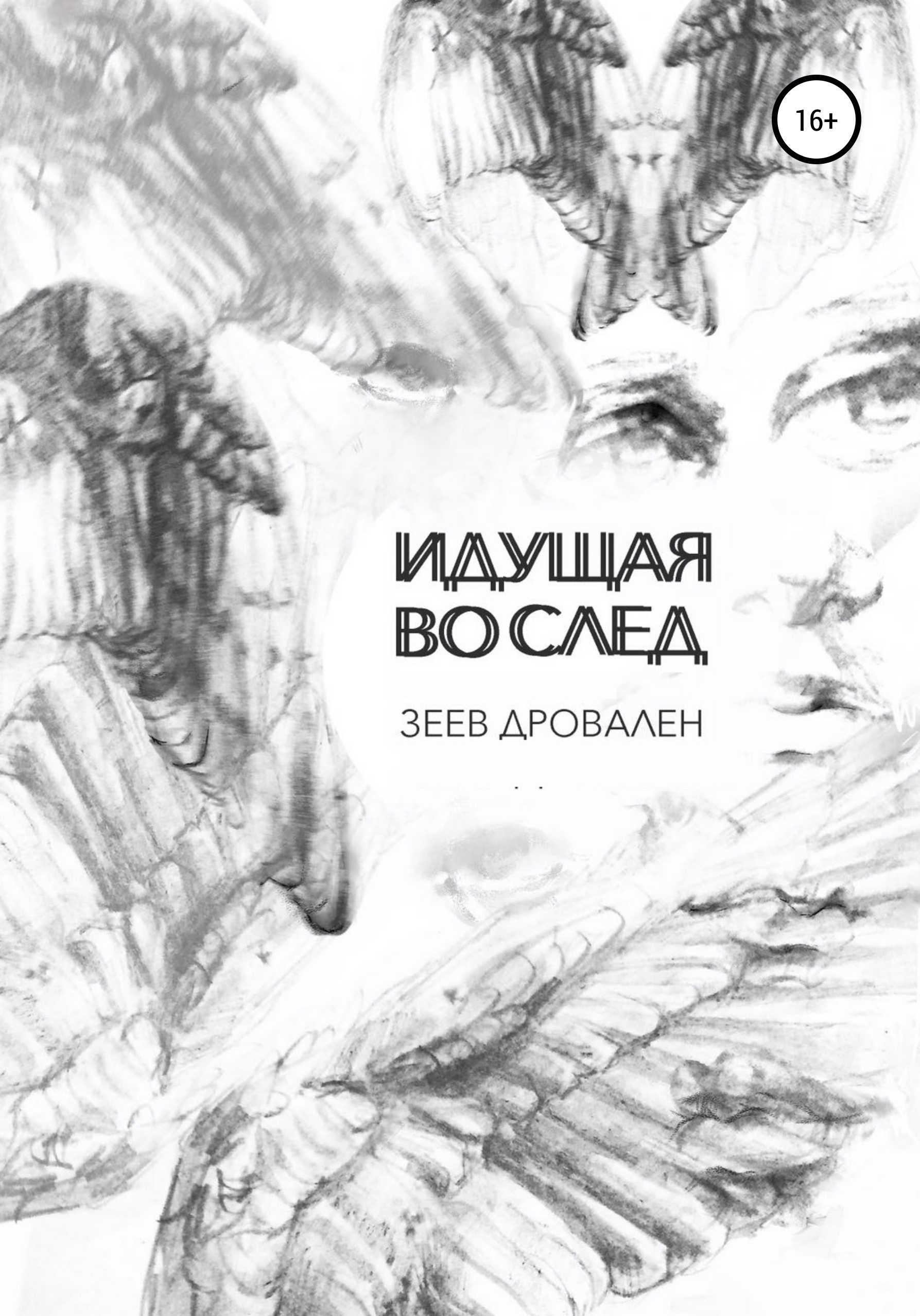 Обложка книги «Идущая вослед»