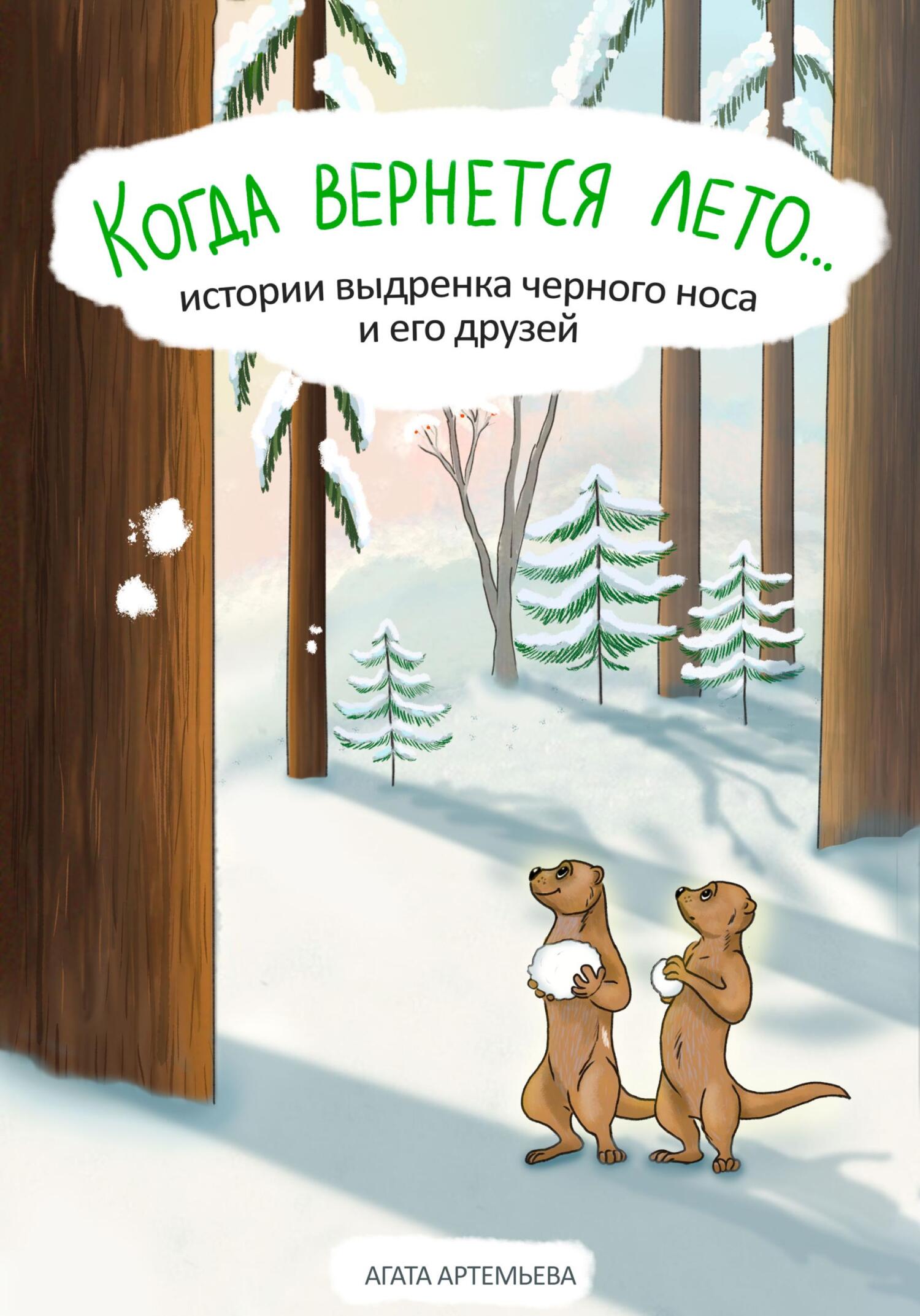 Обложка книги «Когда вернется лето…»