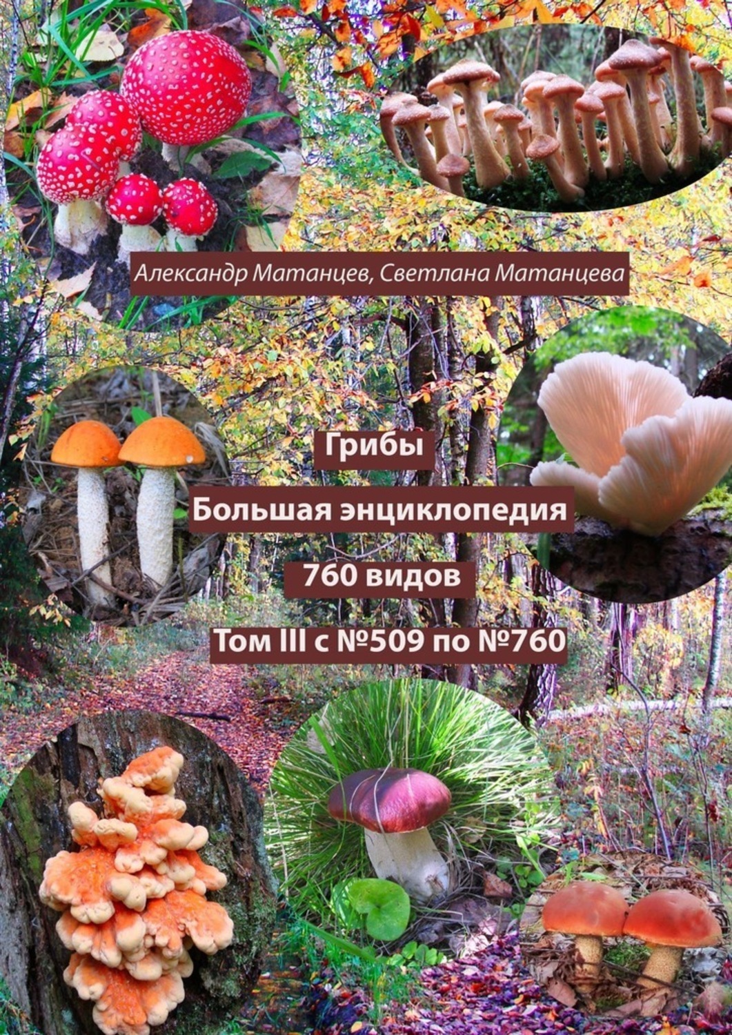 Обложка книги «Грибы. Большая энциклопедия. 760 видов. Том III. С №509 по №760»