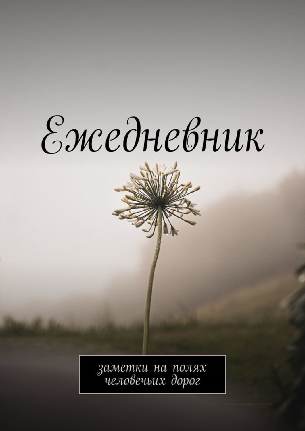Обложка книги «Ежедневник. Заметки на полях человечьих дорог»