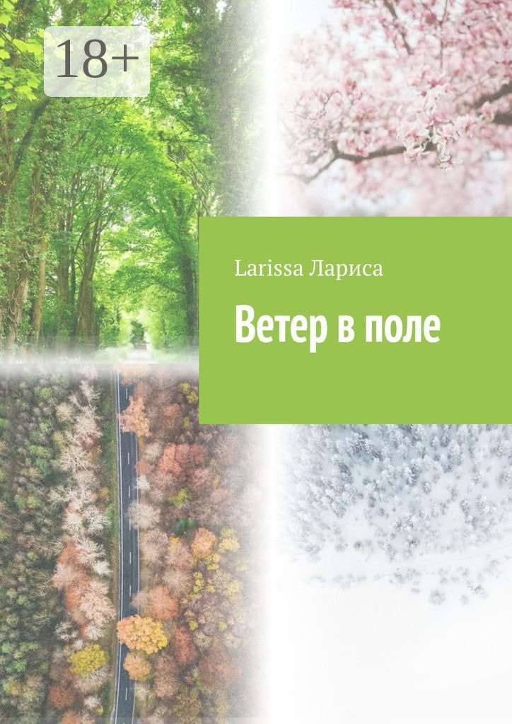 Обложка книги «Ветер в поле»