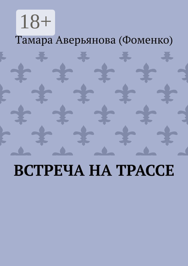 Обложка книги «Встреча на трассе»