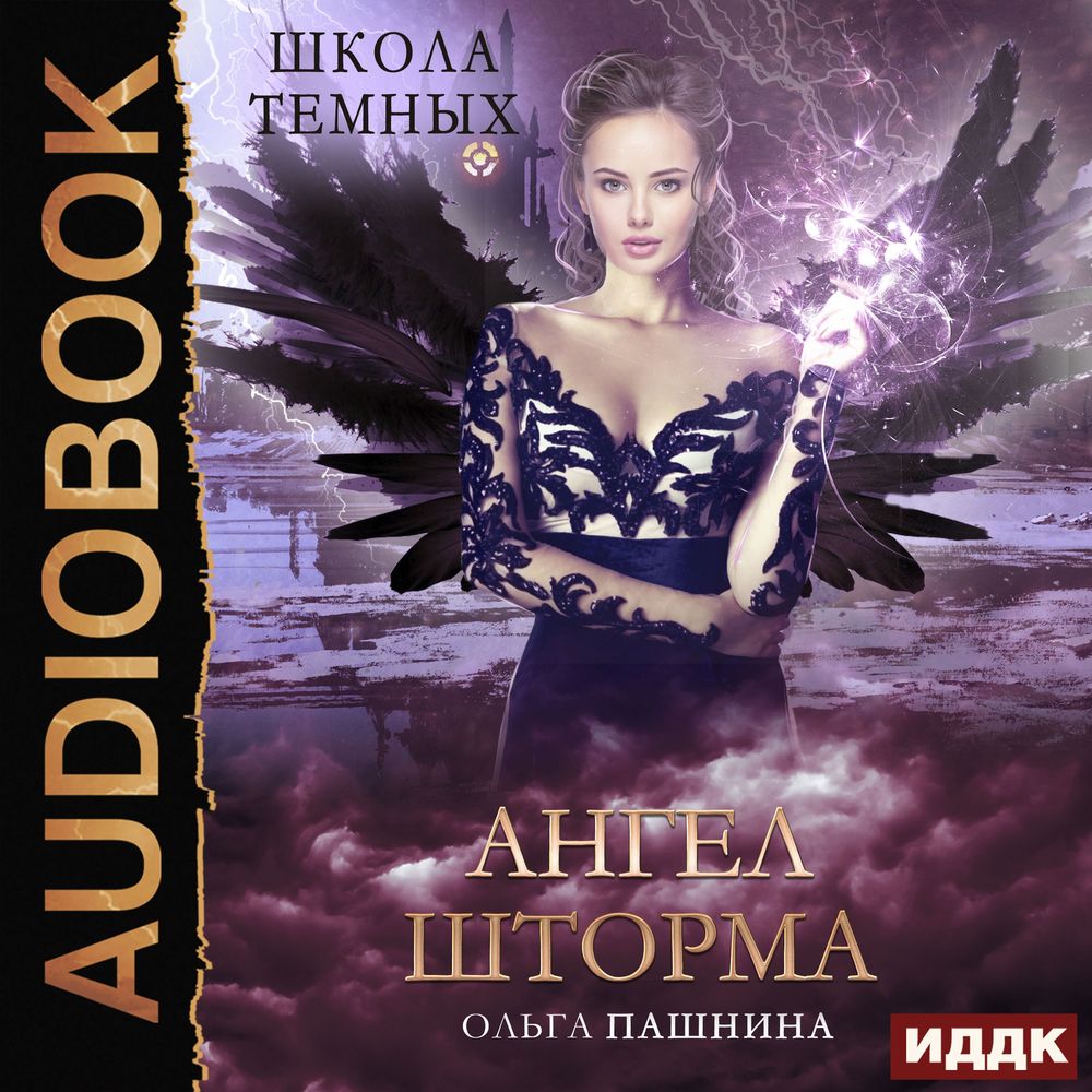 Обложка книги «Школа темных. Ангел шторма»