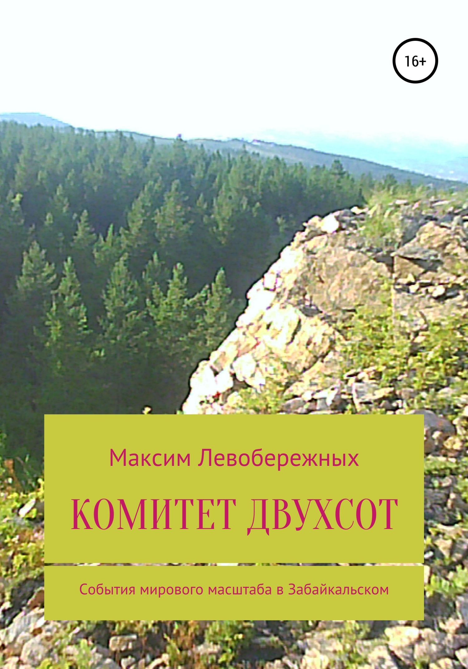 Обложка книги «Комитет двухсот»