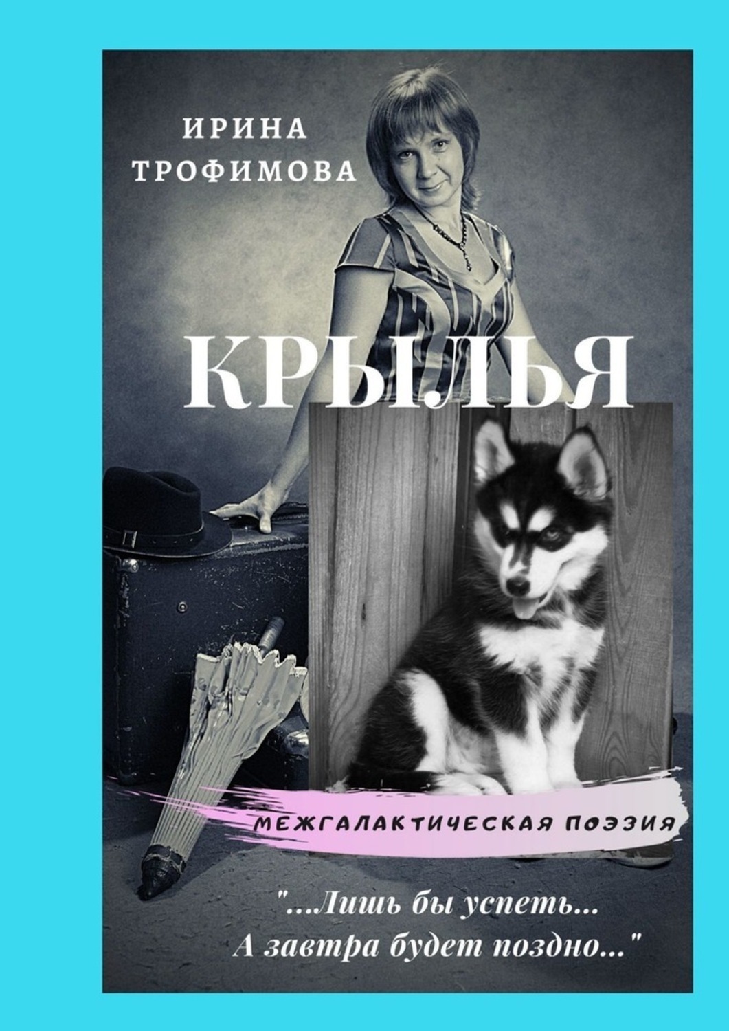 Обложка книги «Крылья»