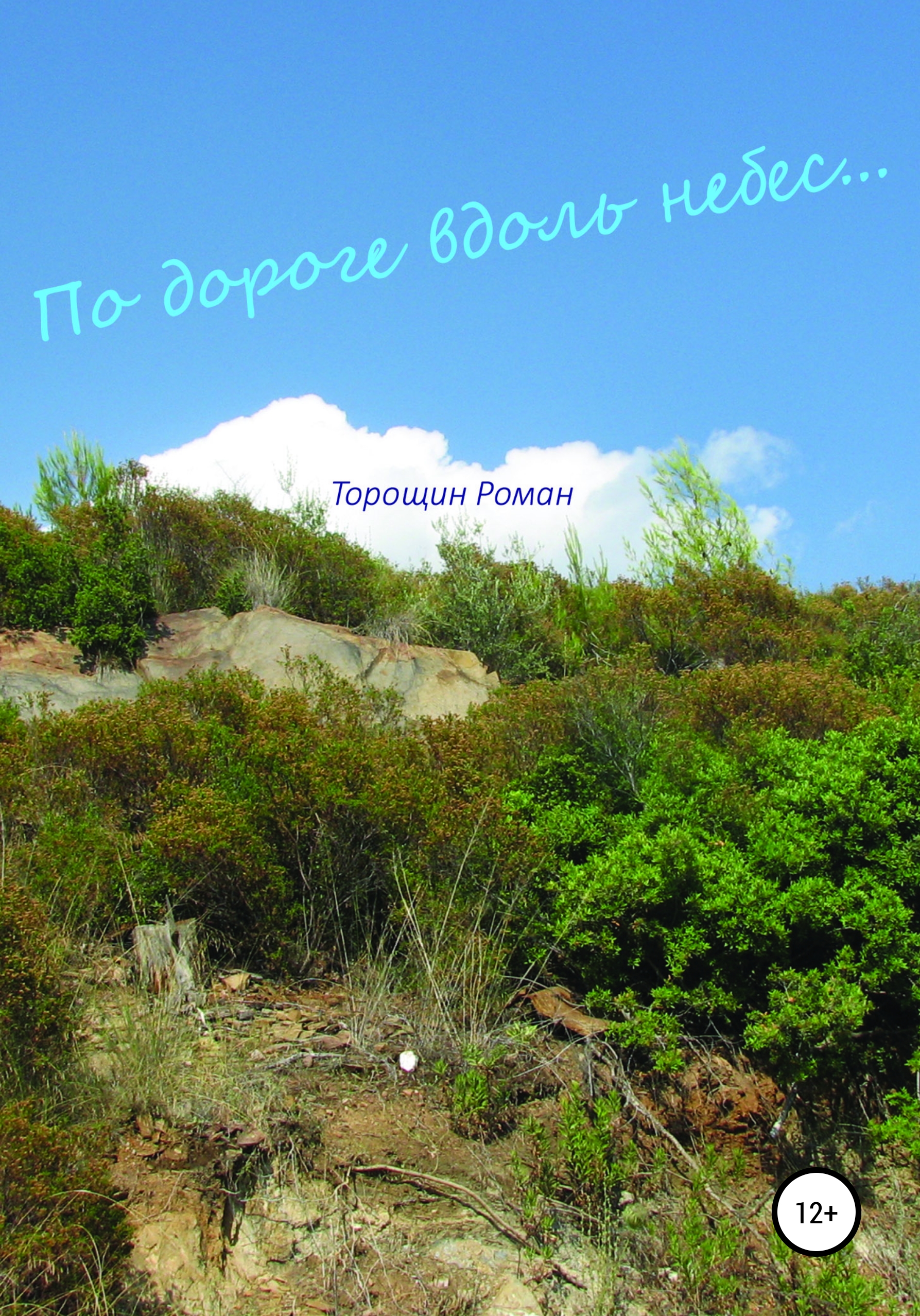 Обложка книги «По дороге вдоль небес»