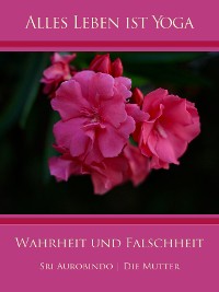 Обложка книги «Wahrheit und Falschheit»