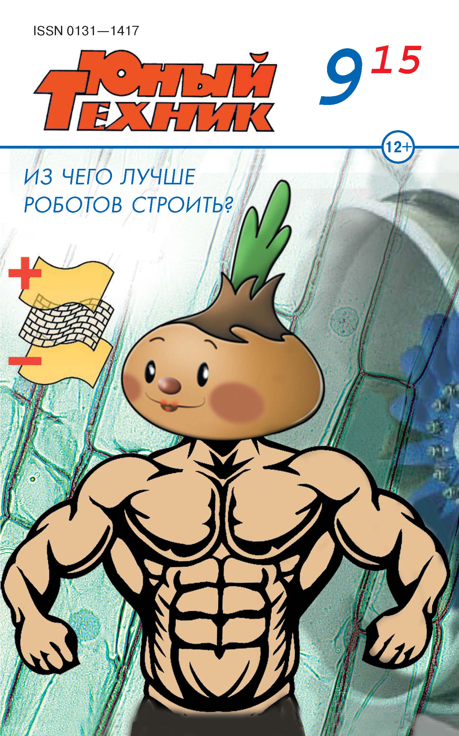 Обложка книги «Юный техник №09/2015»