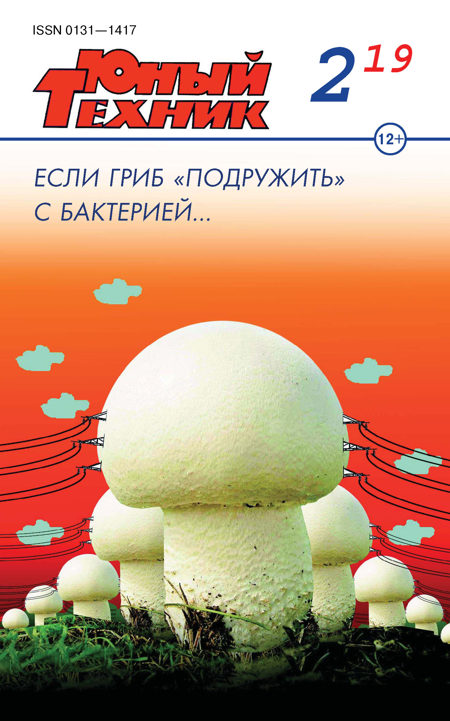 Обложка книги «Юный техник №02/2019»