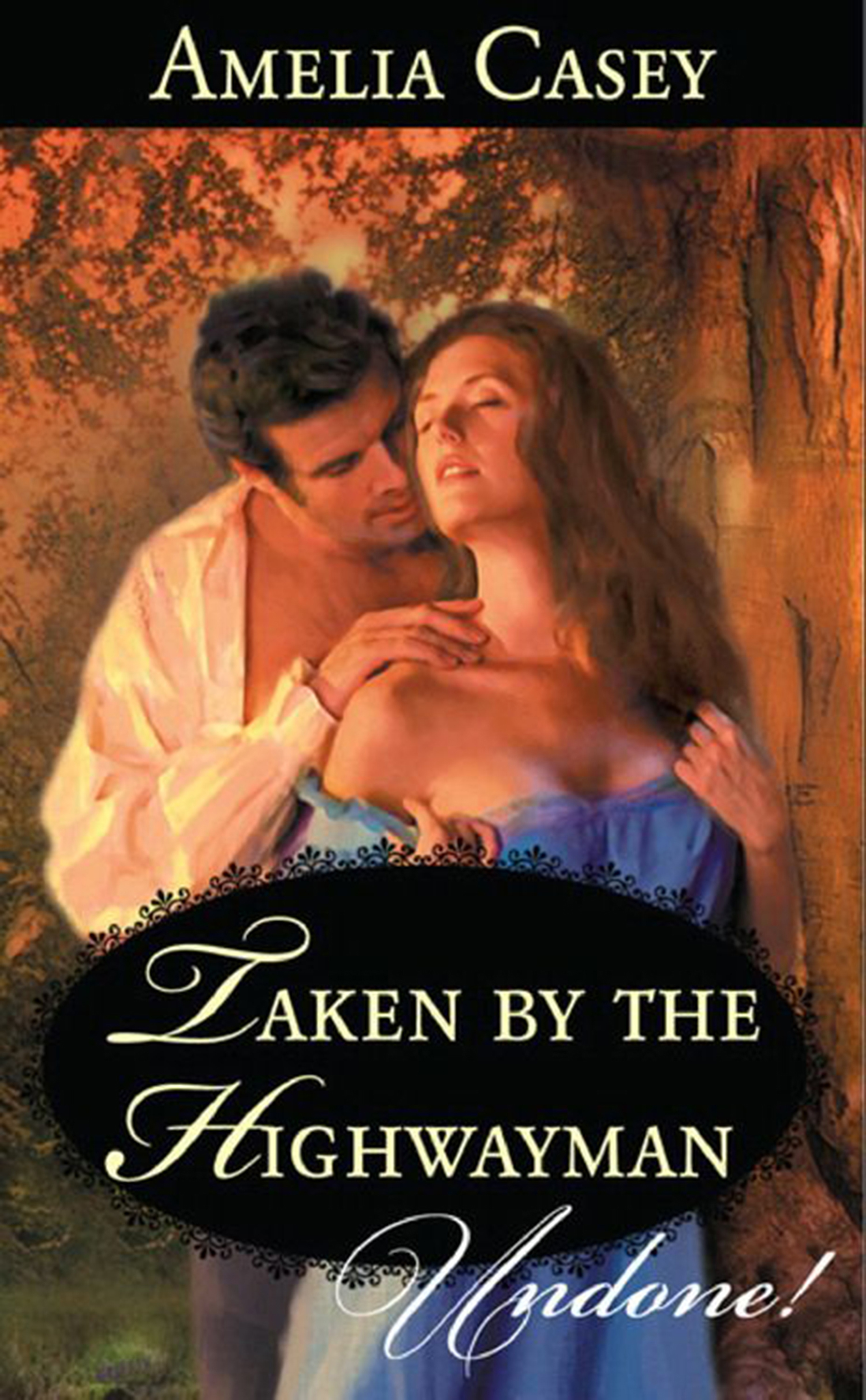 Обложка книги «Taken By The Highwayman»