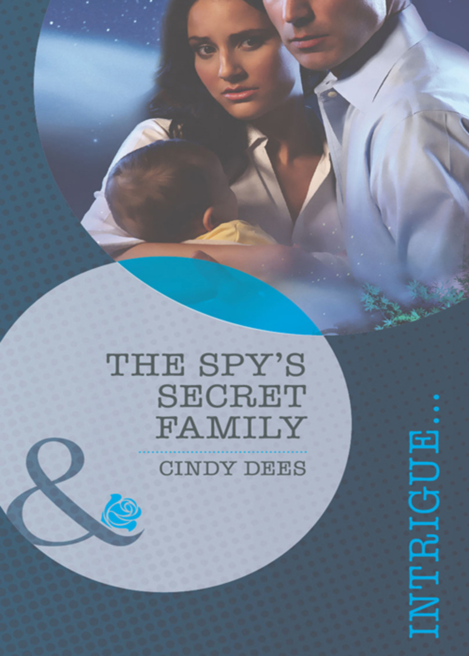 Обложка книги «The Spy's Secret Family»
