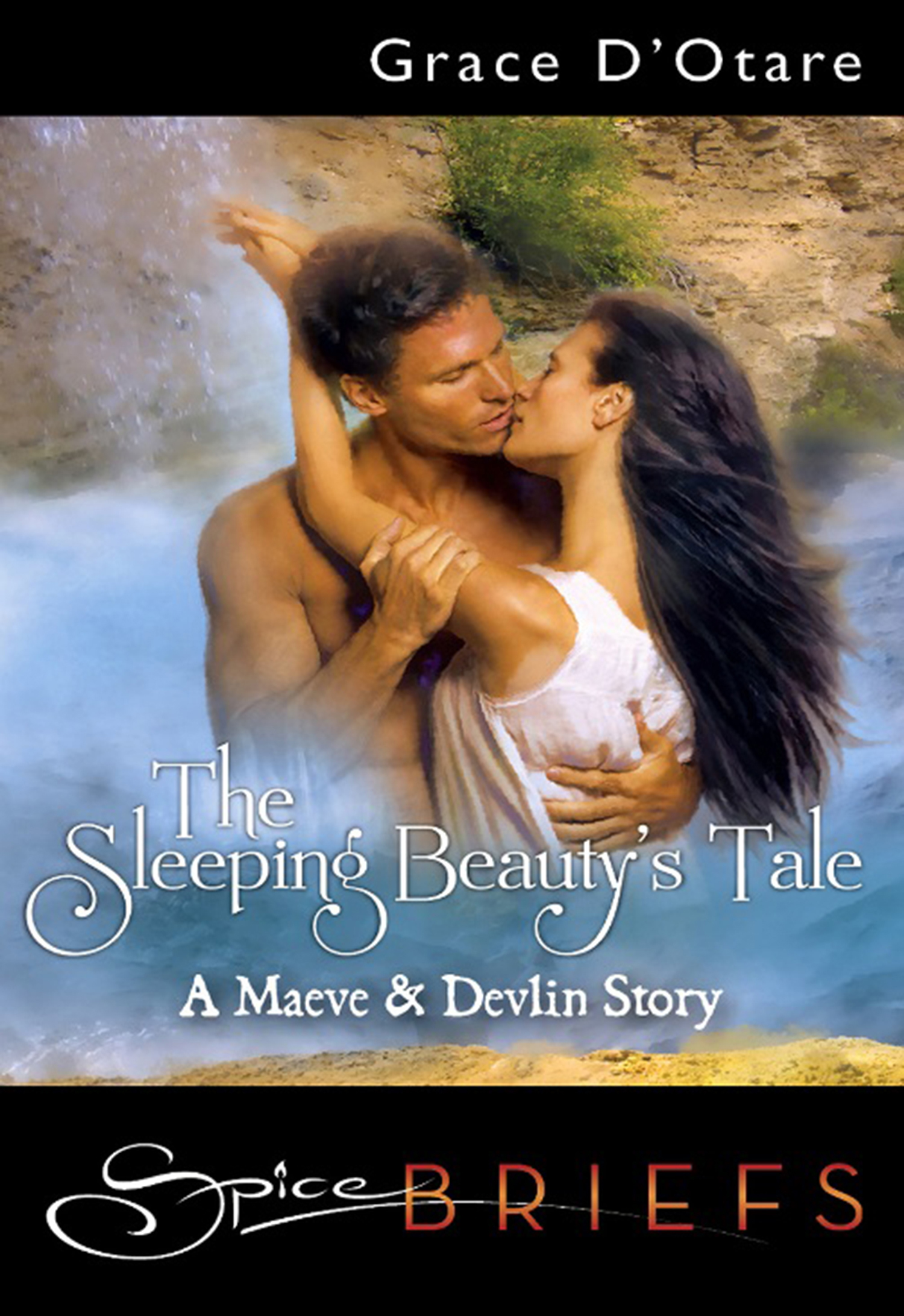Обложка книги «The Sleeping Beauty's Tale»