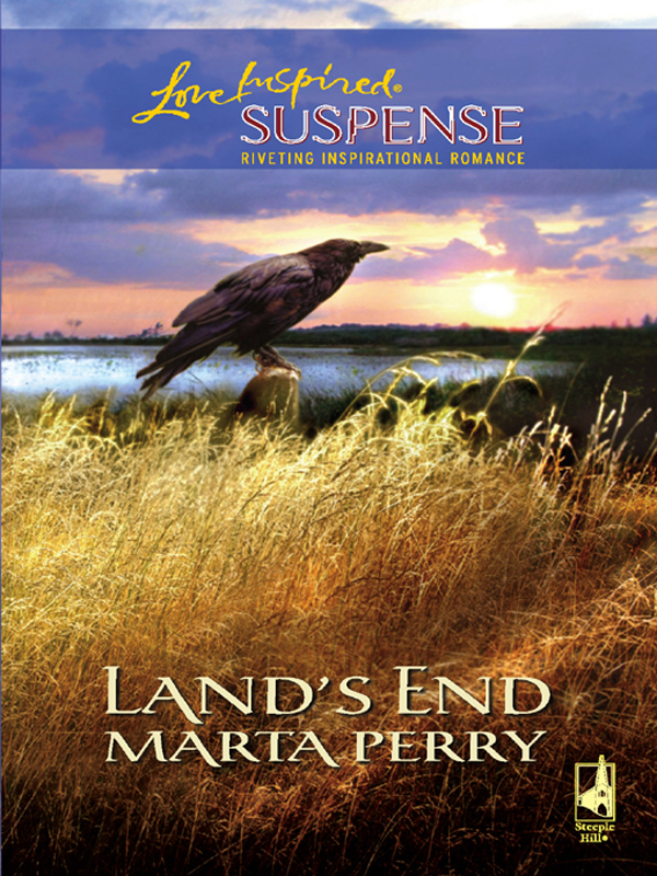 Обложка книги «Land's End»