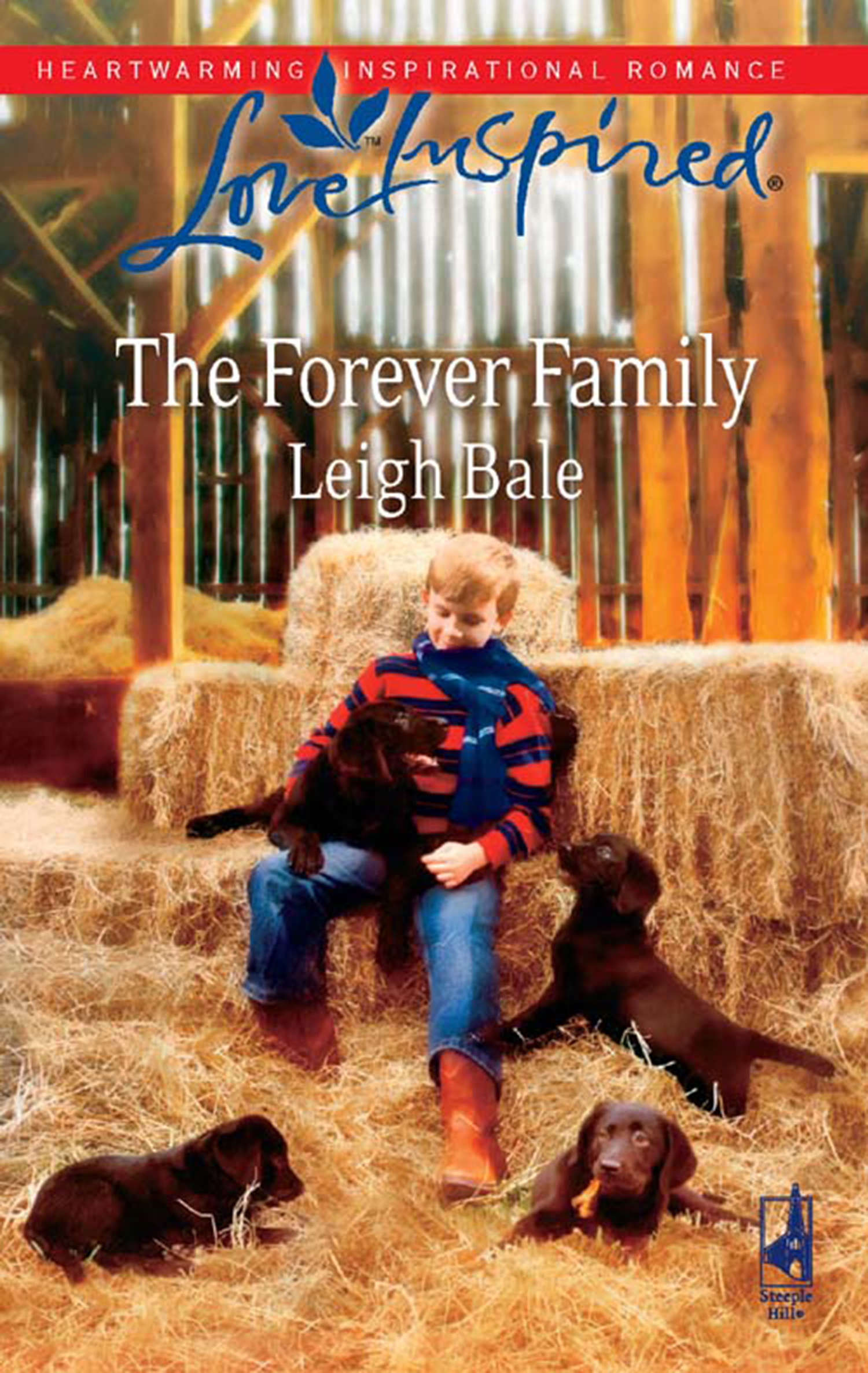 Обложка книги «The Forever Family»