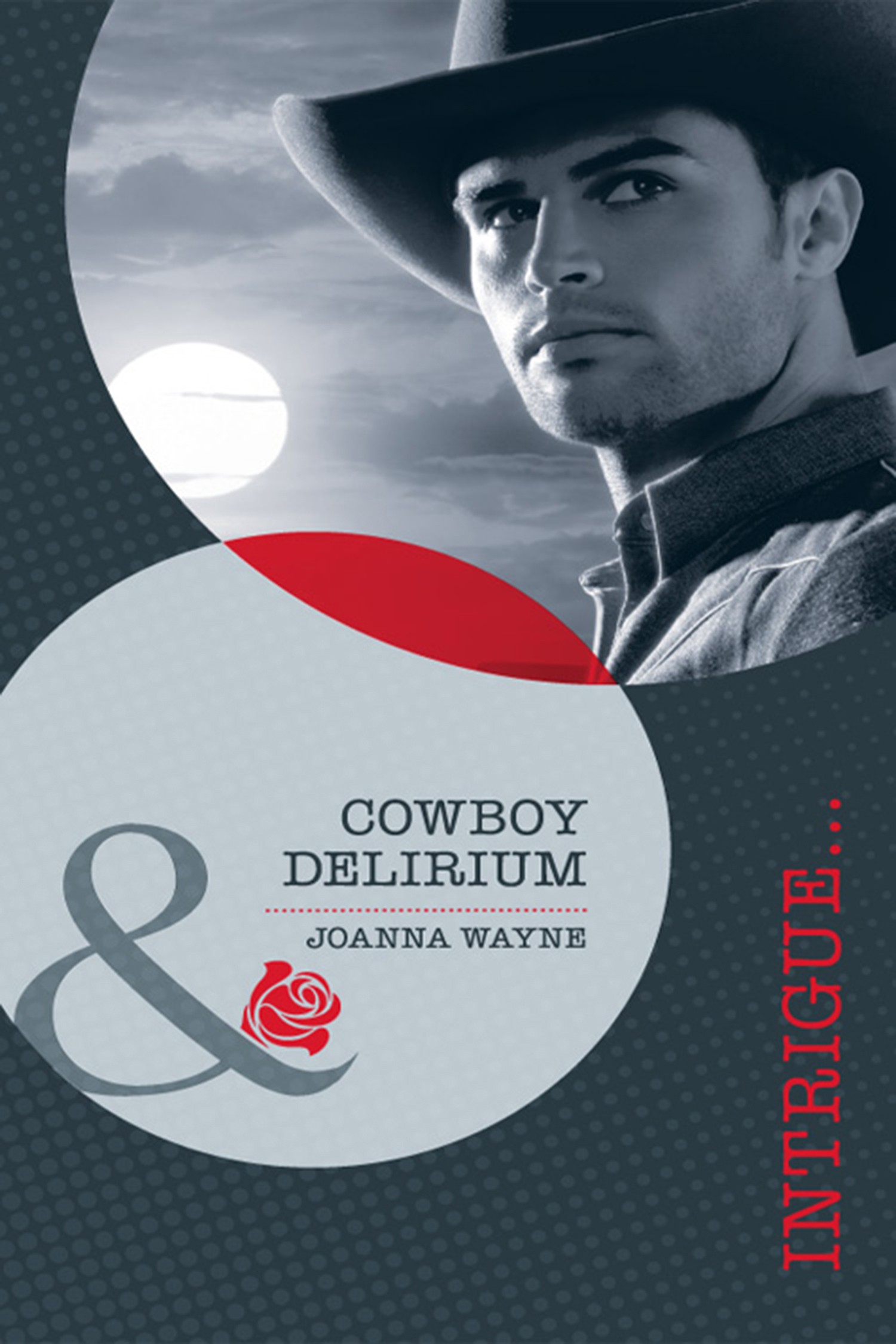 Обложка книги «Cowboy Delirium»