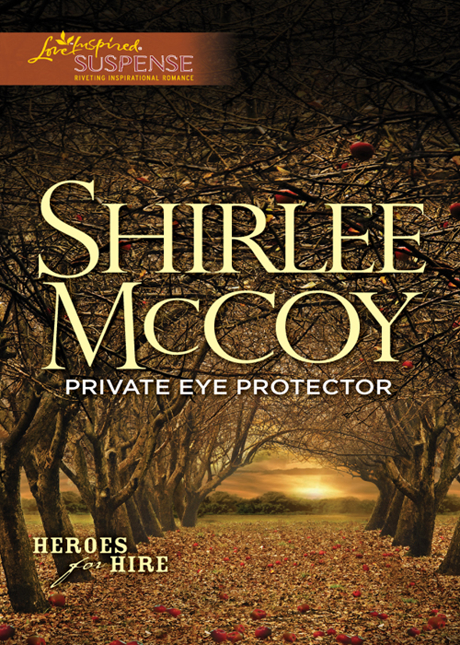 Обложка книги «Private Eye Protector»