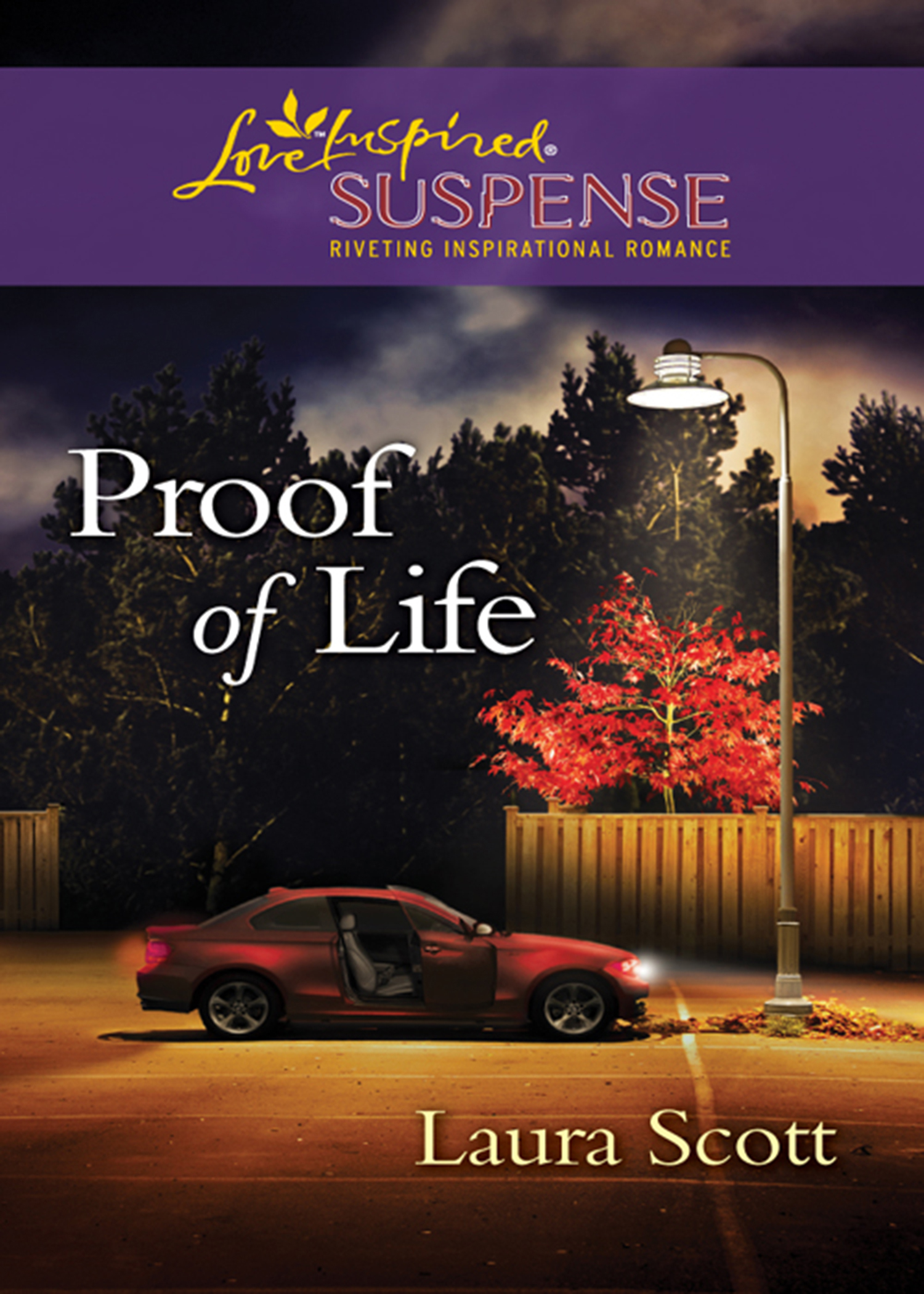Обложка книги «Proof of Life»