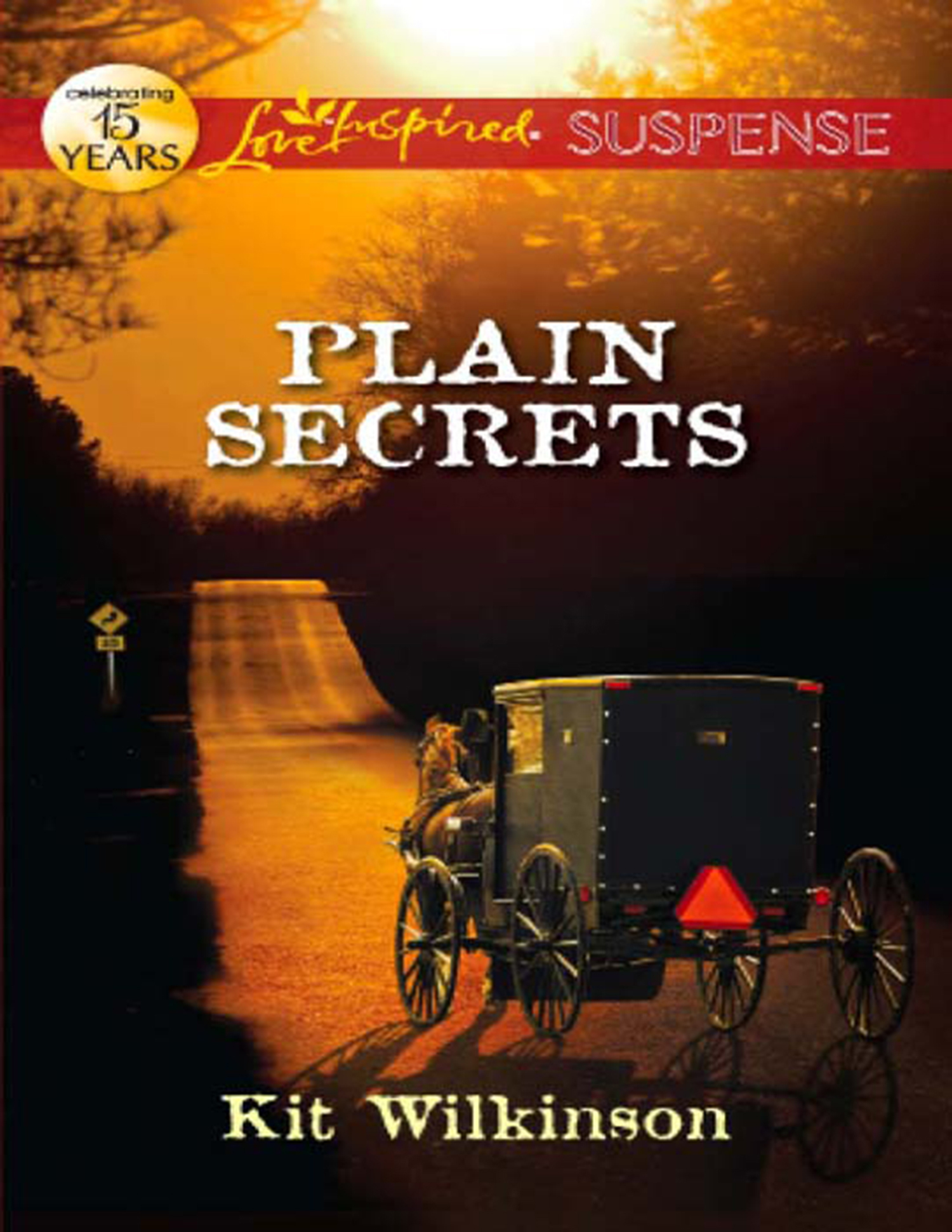 Обложка книги «Plain Secrets»