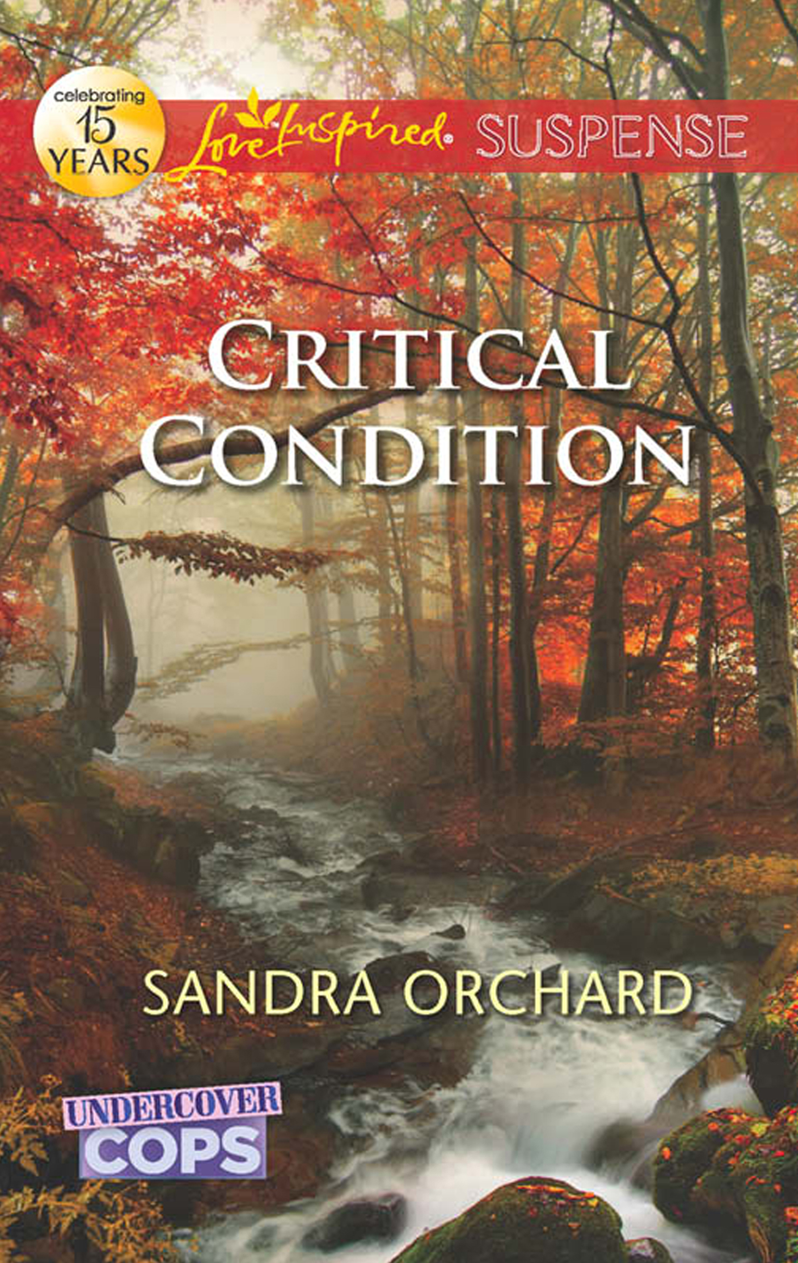 Обложка книги «Critical Condition»
