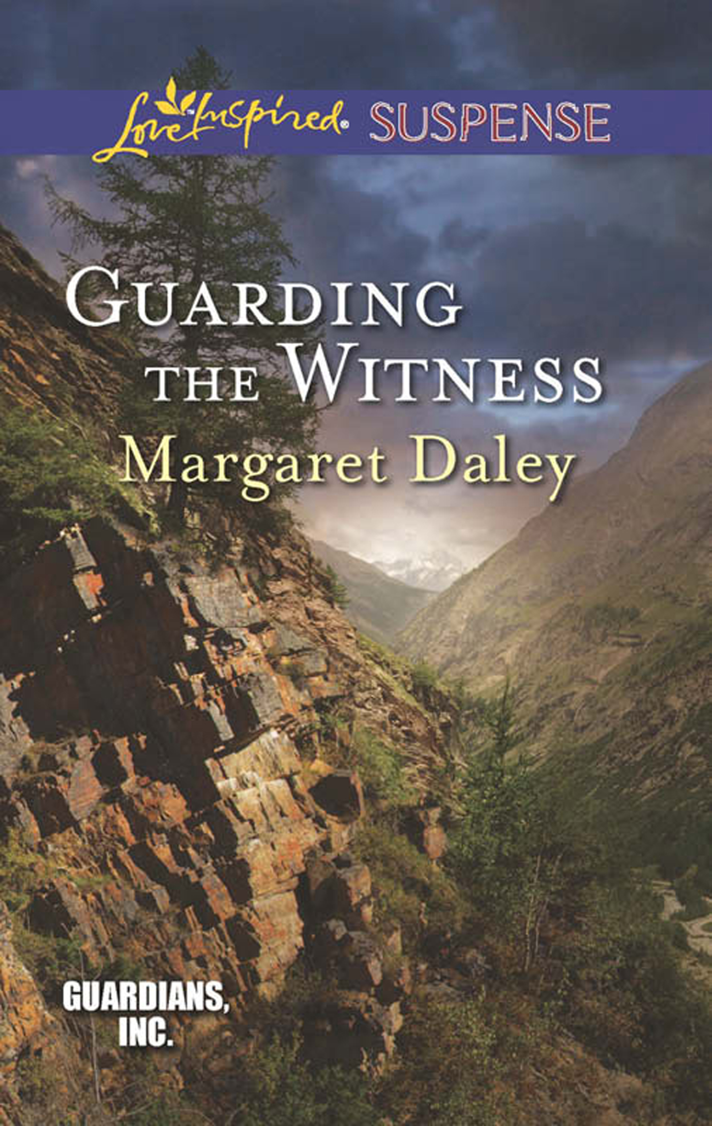 Обложка книги «Guarding the Witness»