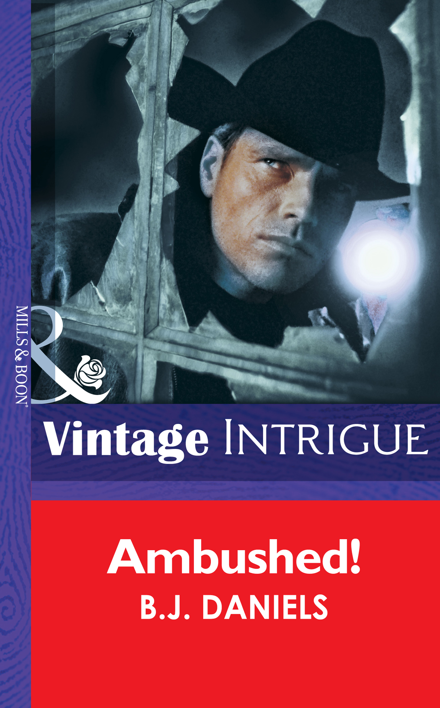 Обложка книги «Ambushed!»