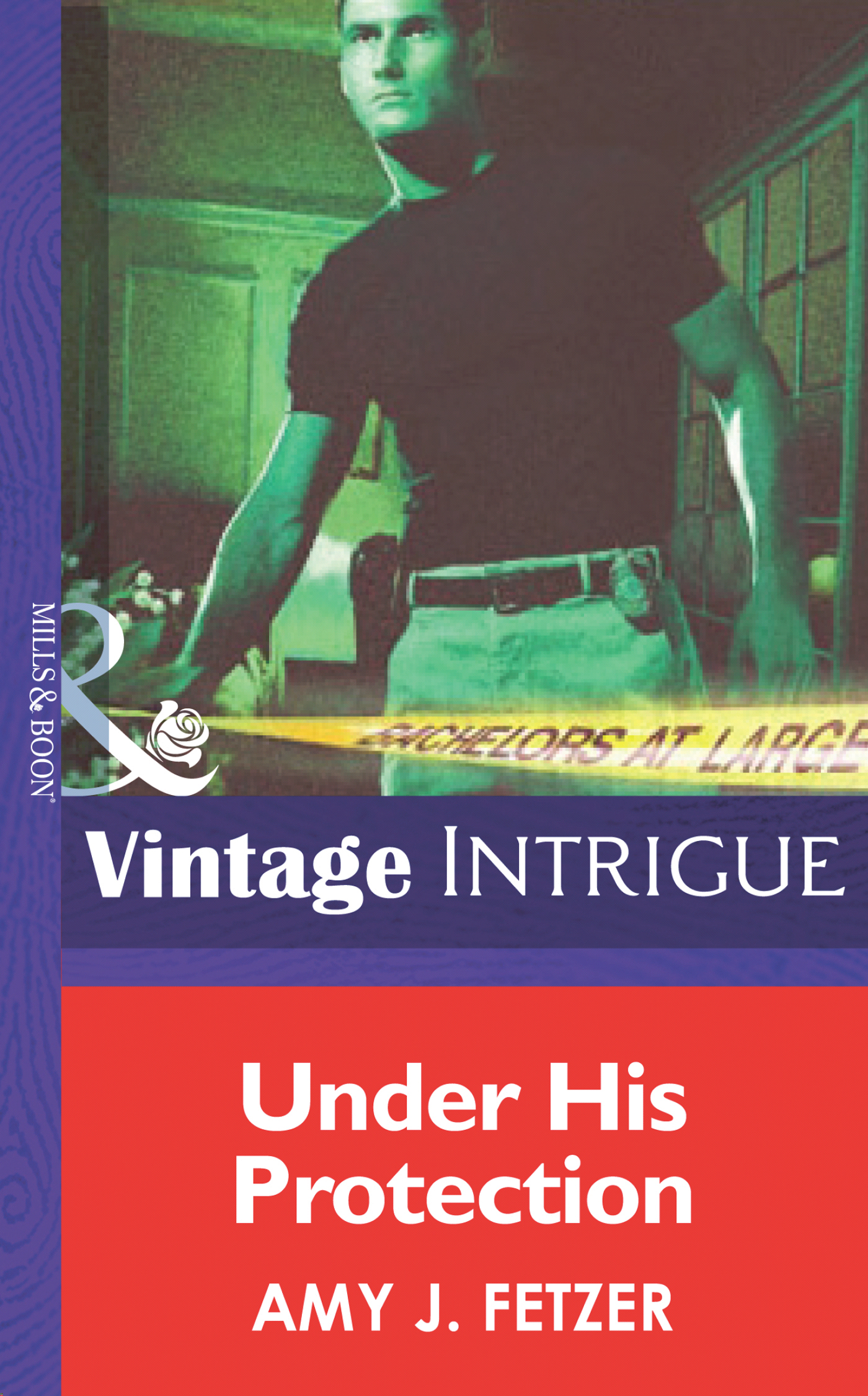 Обложка книги «Under His Protection»