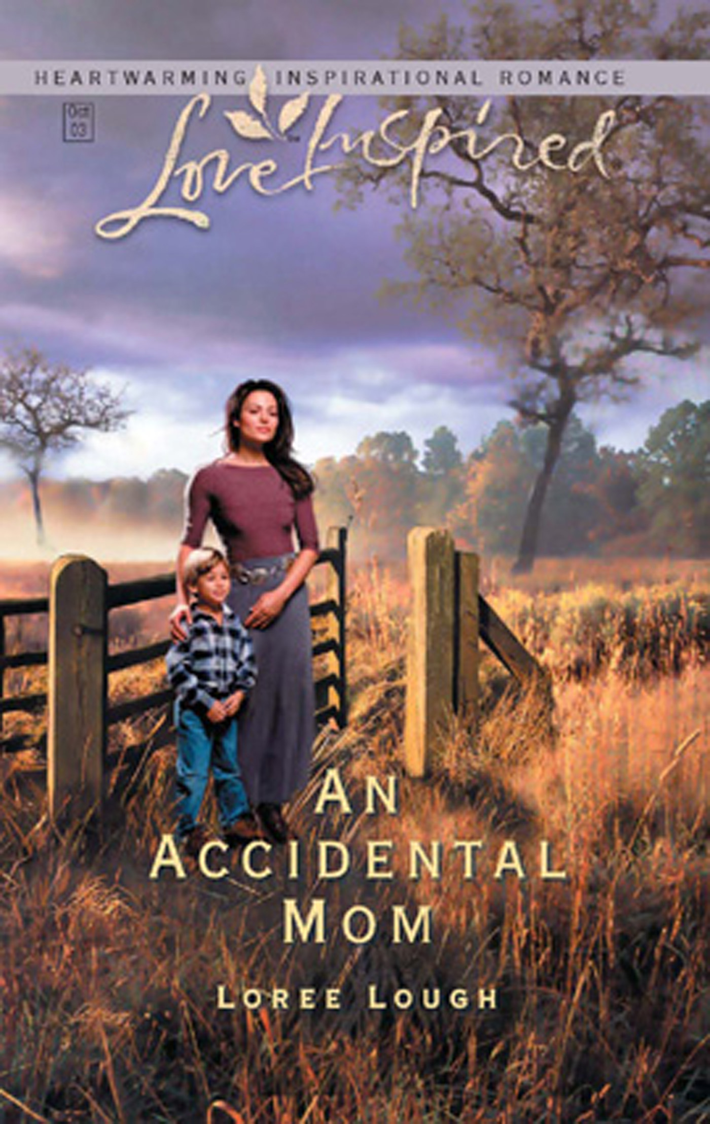 Обложка книги «An Accidental Mom»