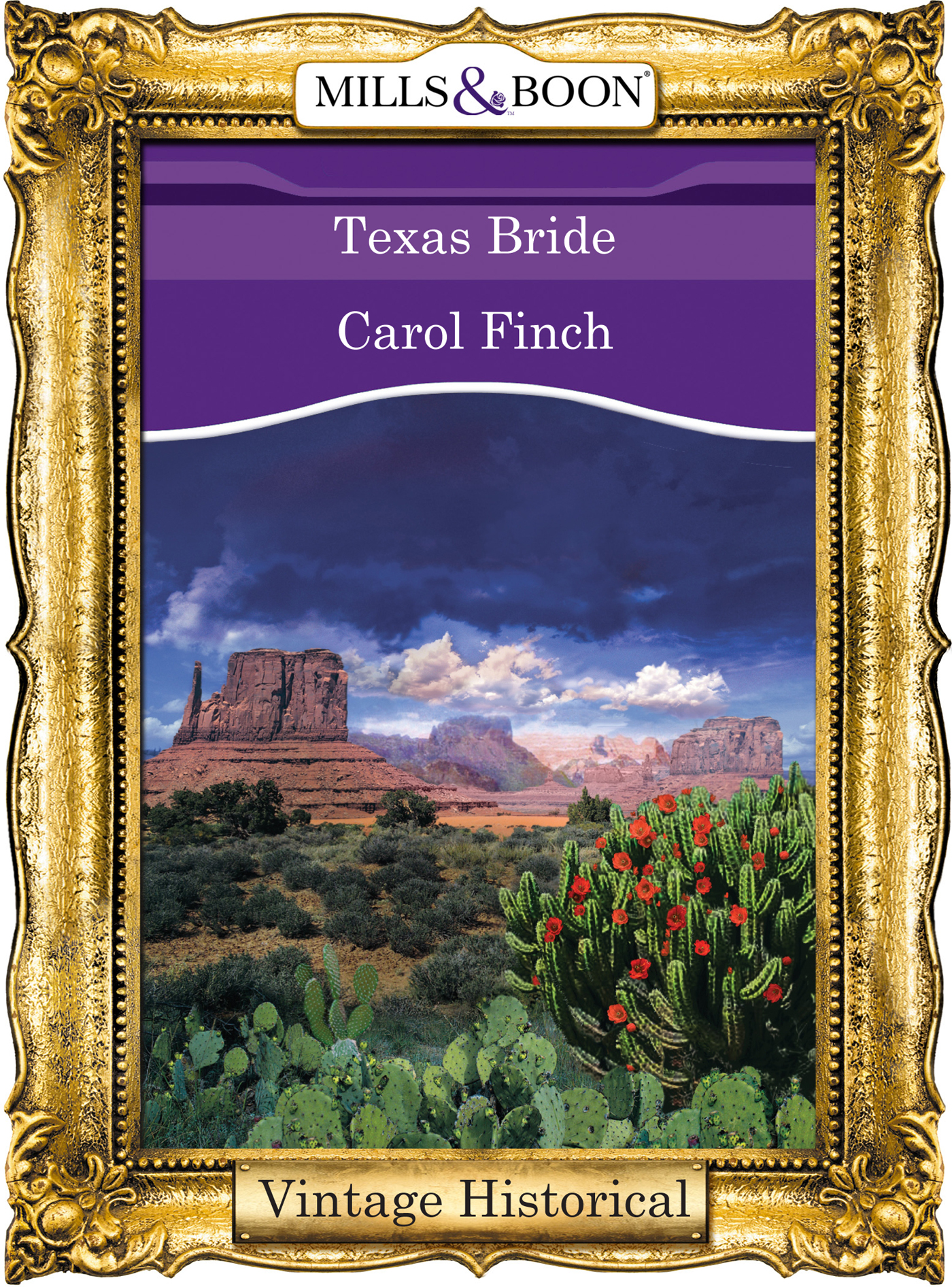 Обложка книги «Texas Bride»