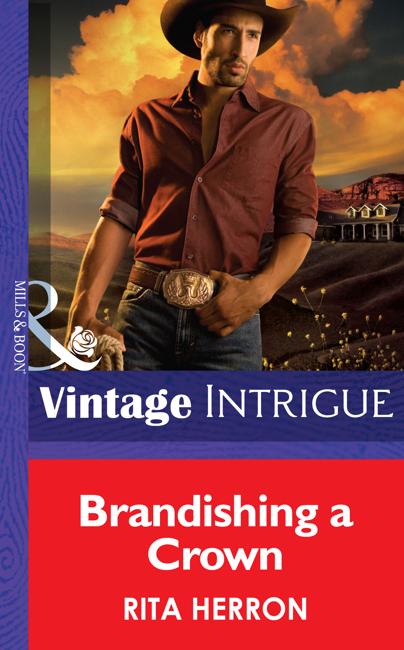 Обложка книги «Brandishing a Crown»