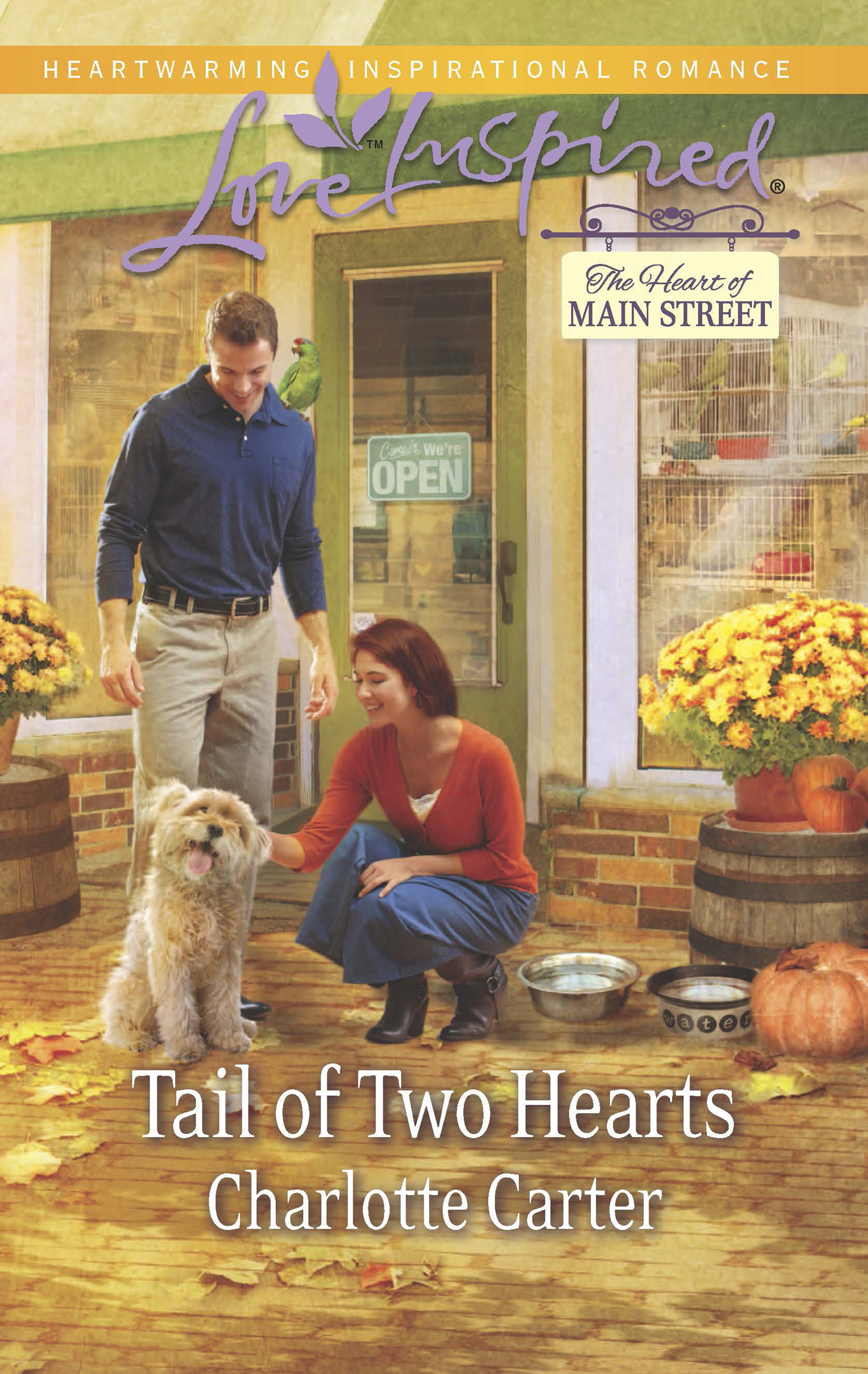 Обложка книги «Tail of Two Hearts»