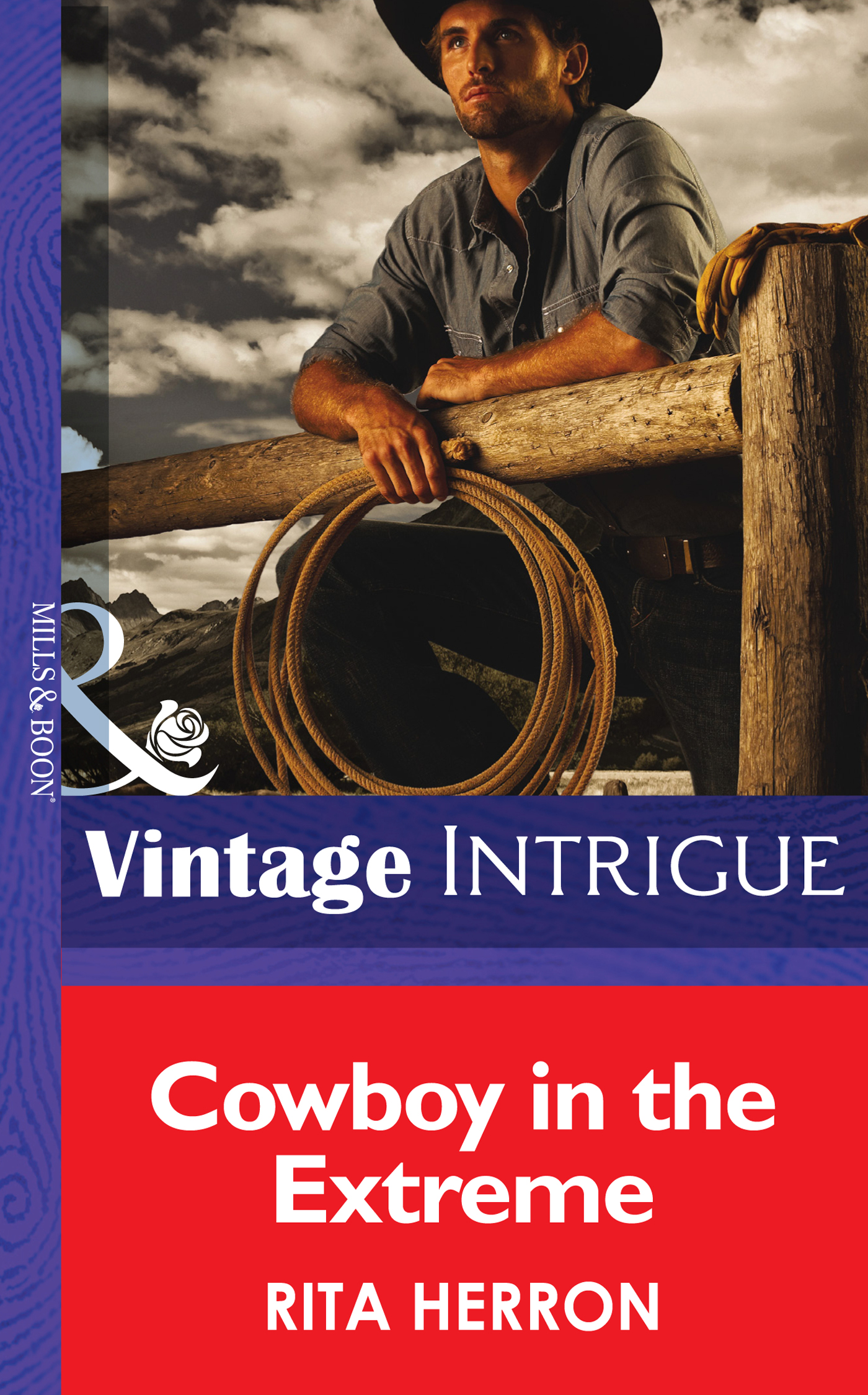 Обложка книги «Cowboy in the Extreme»