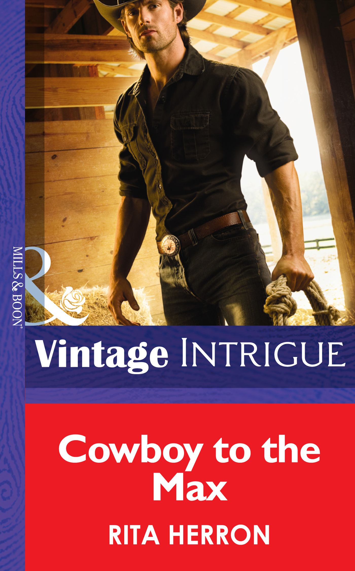 Обложка книги «Cowboy to the Max»