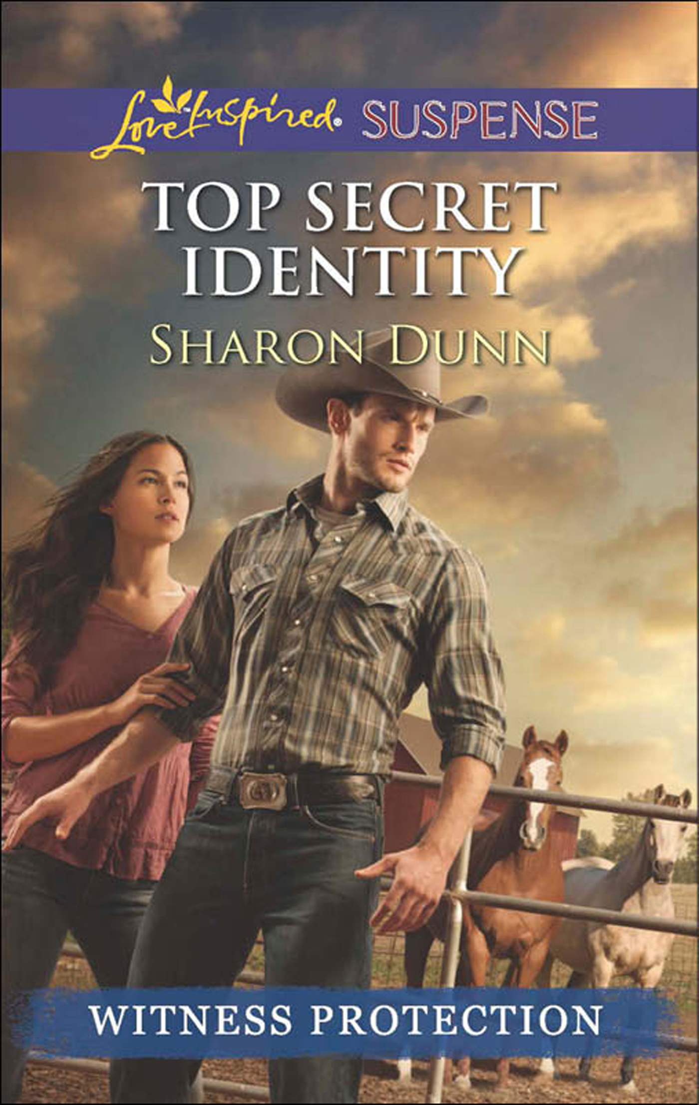 Обложка книги «Top Secret Identity»