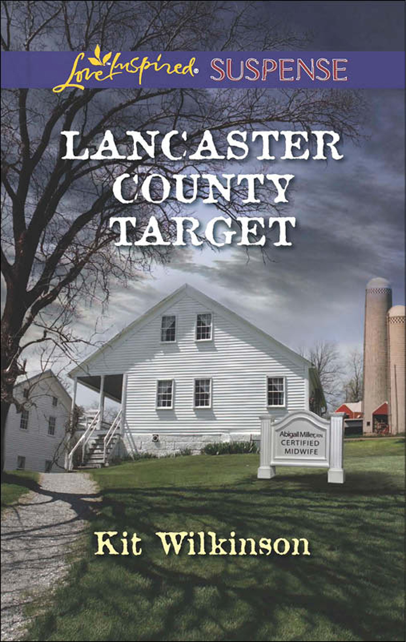 Обложка книги «Lancaster County Target»