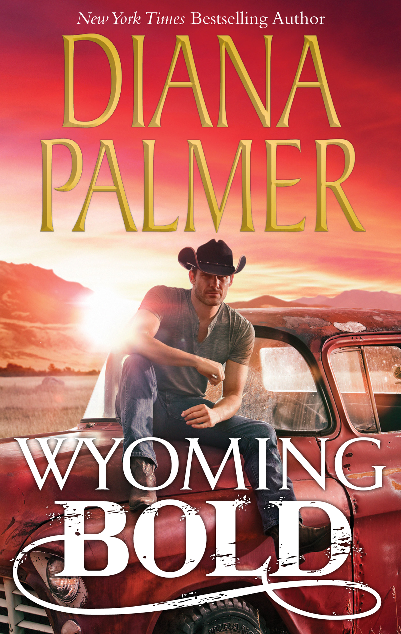 Обложка книги «Wyoming Bold»