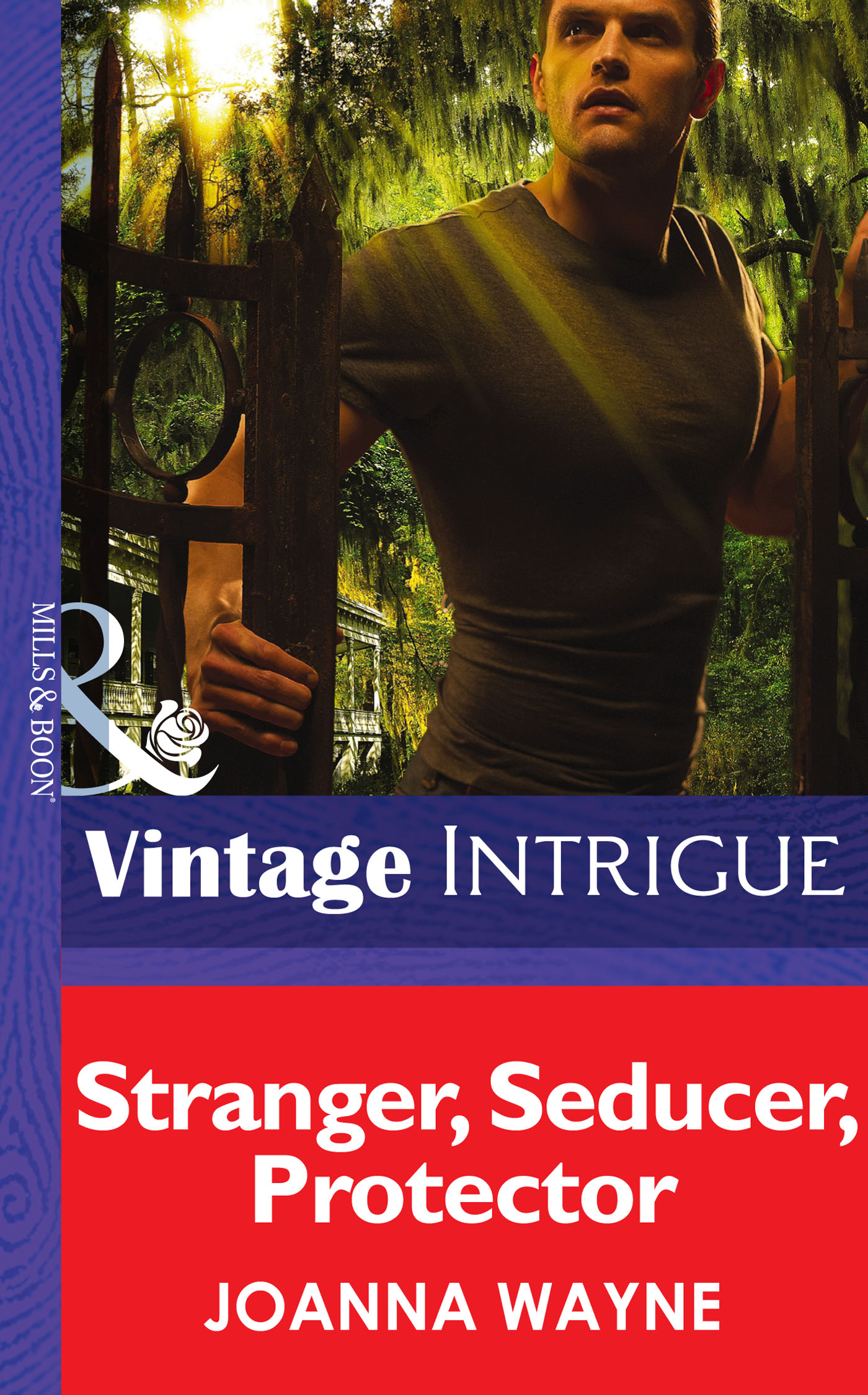 Обложка книги «Stranger, Seducer, Protector»