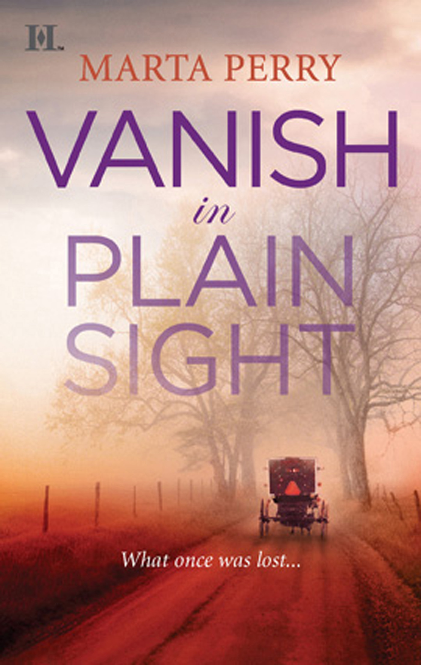 Обложка книги «Vanish in Plain Sight»
